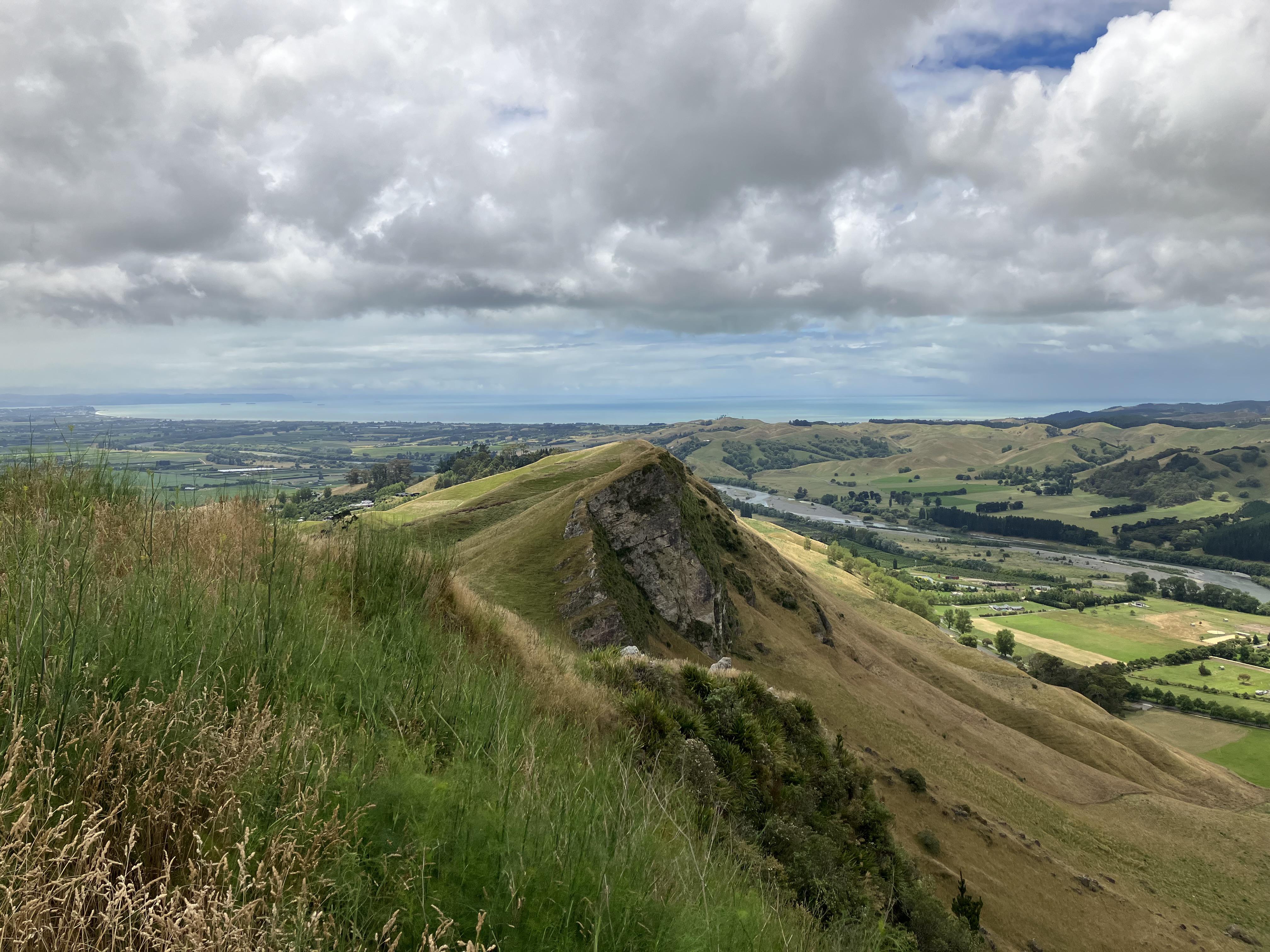 Looking north to Napier from Havelock North, New Zealand r/pics