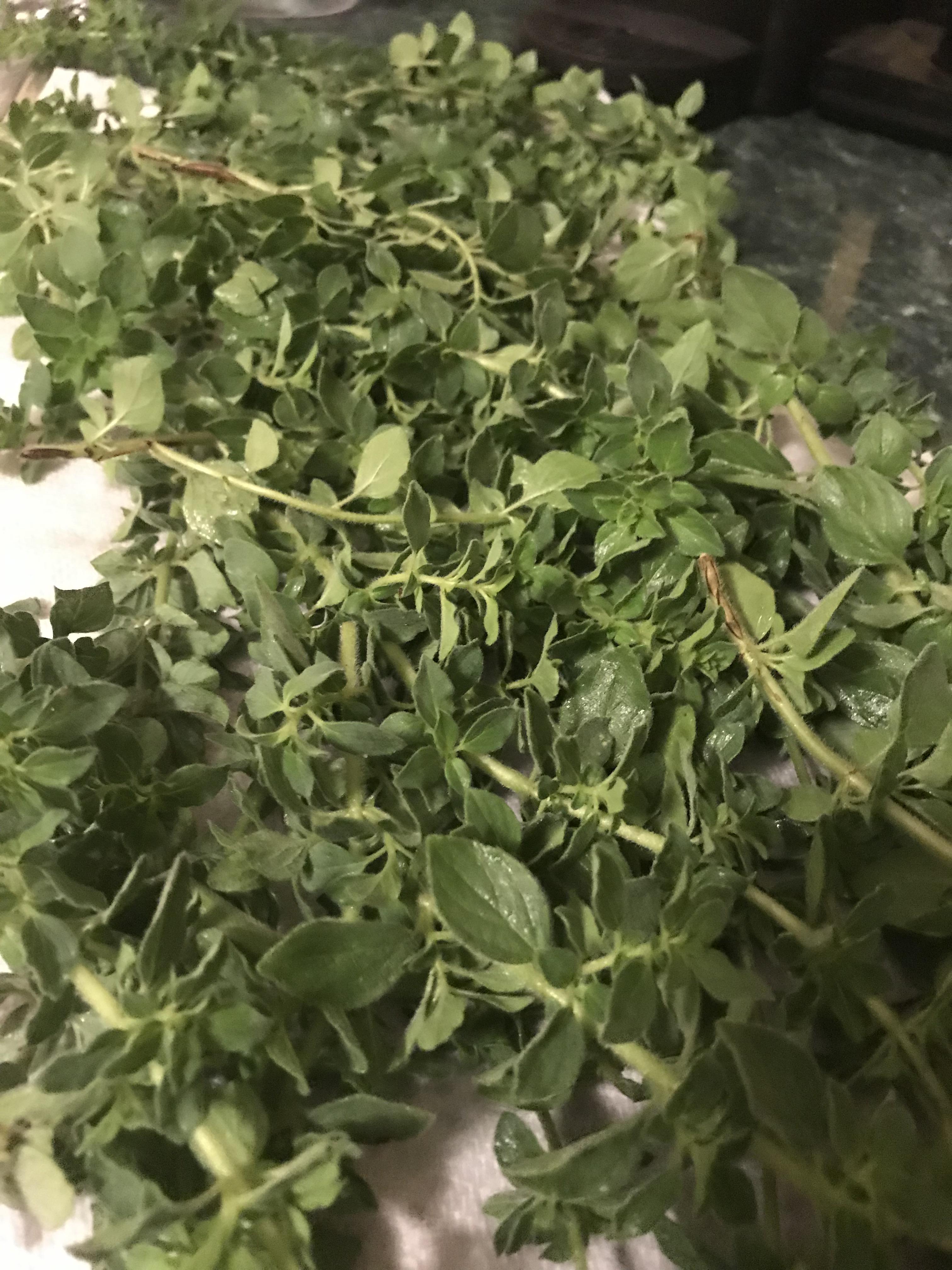 My oregano is doing amazingly well this year and my dehydrator been