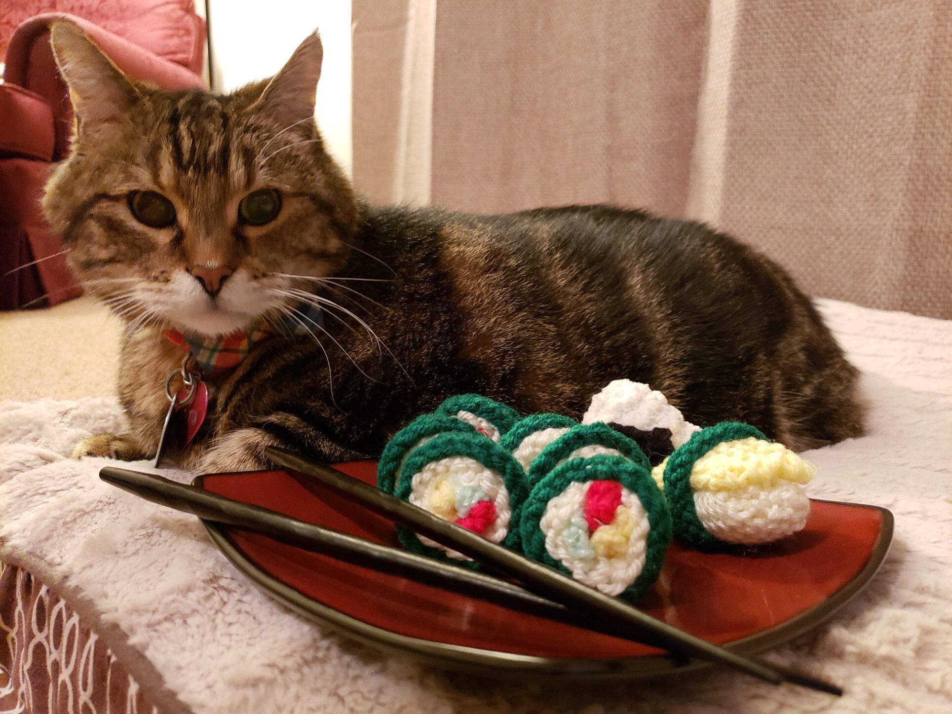 Ready to roll with his new sushi cat toys r/cats