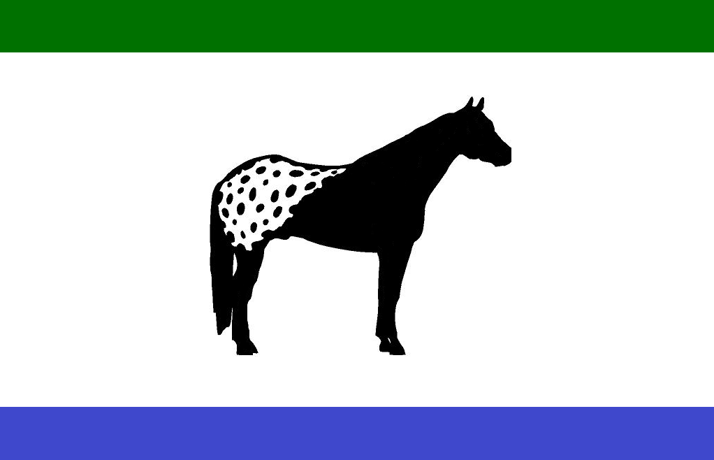 Redesign of the flag of Idaho vexillology