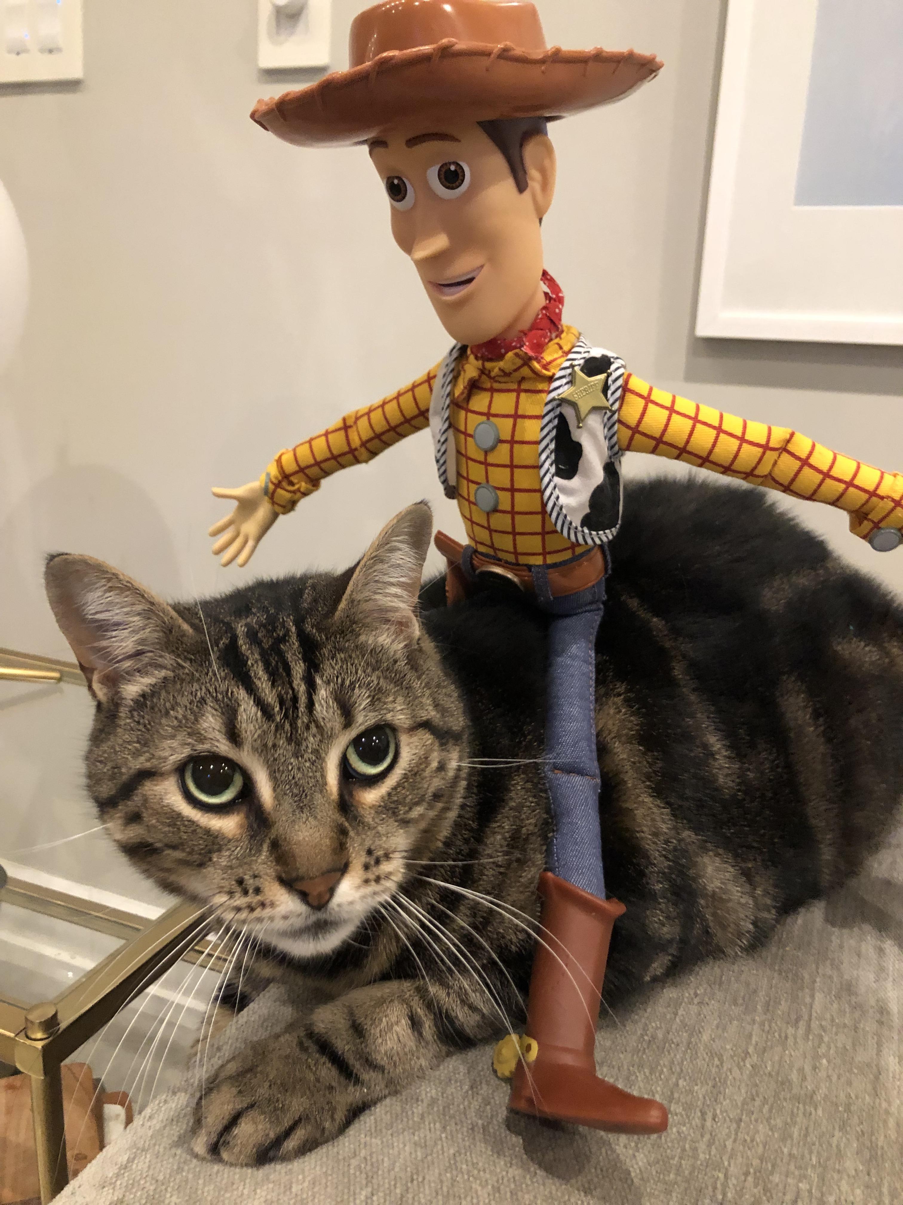 Run Like The Wind Bullseye