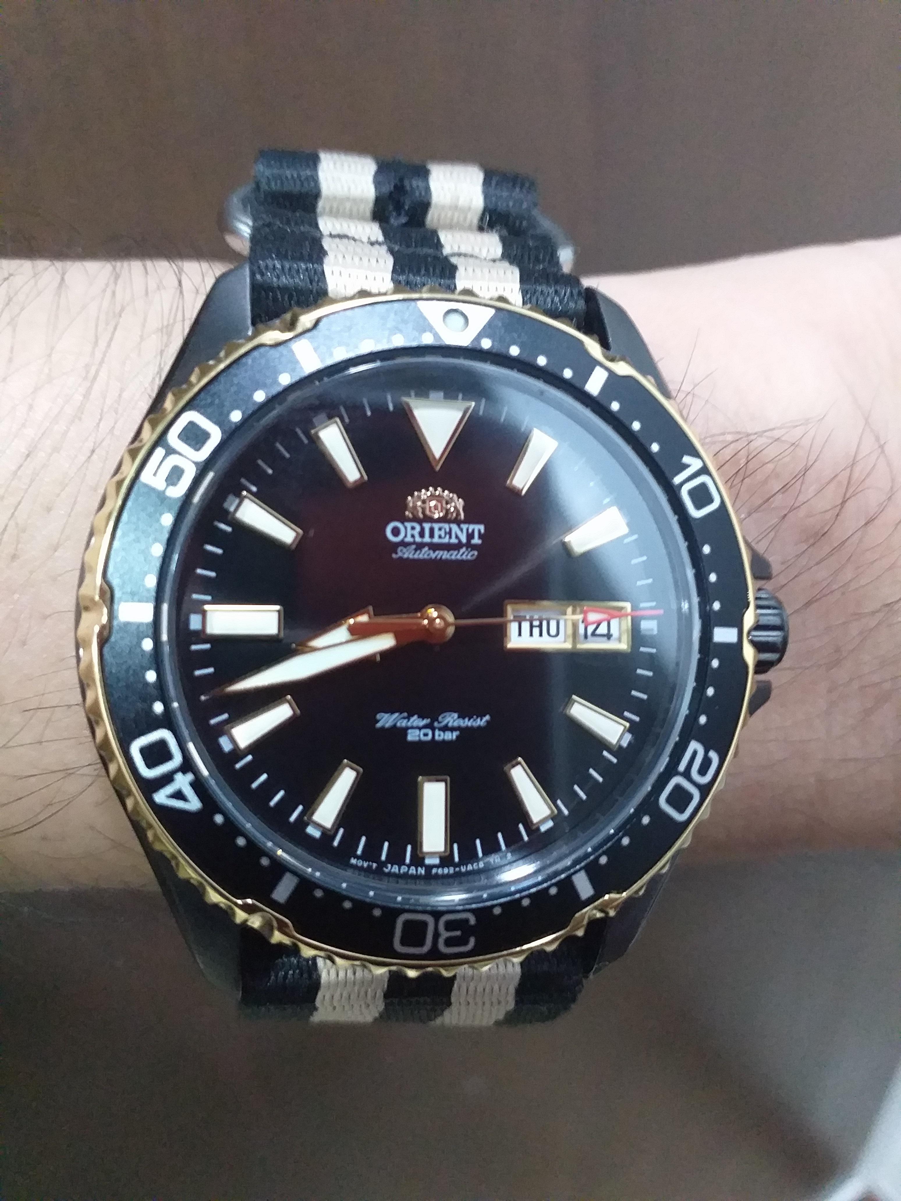 [Orient Kamasu] formerly known as Mako 3 r/Watches