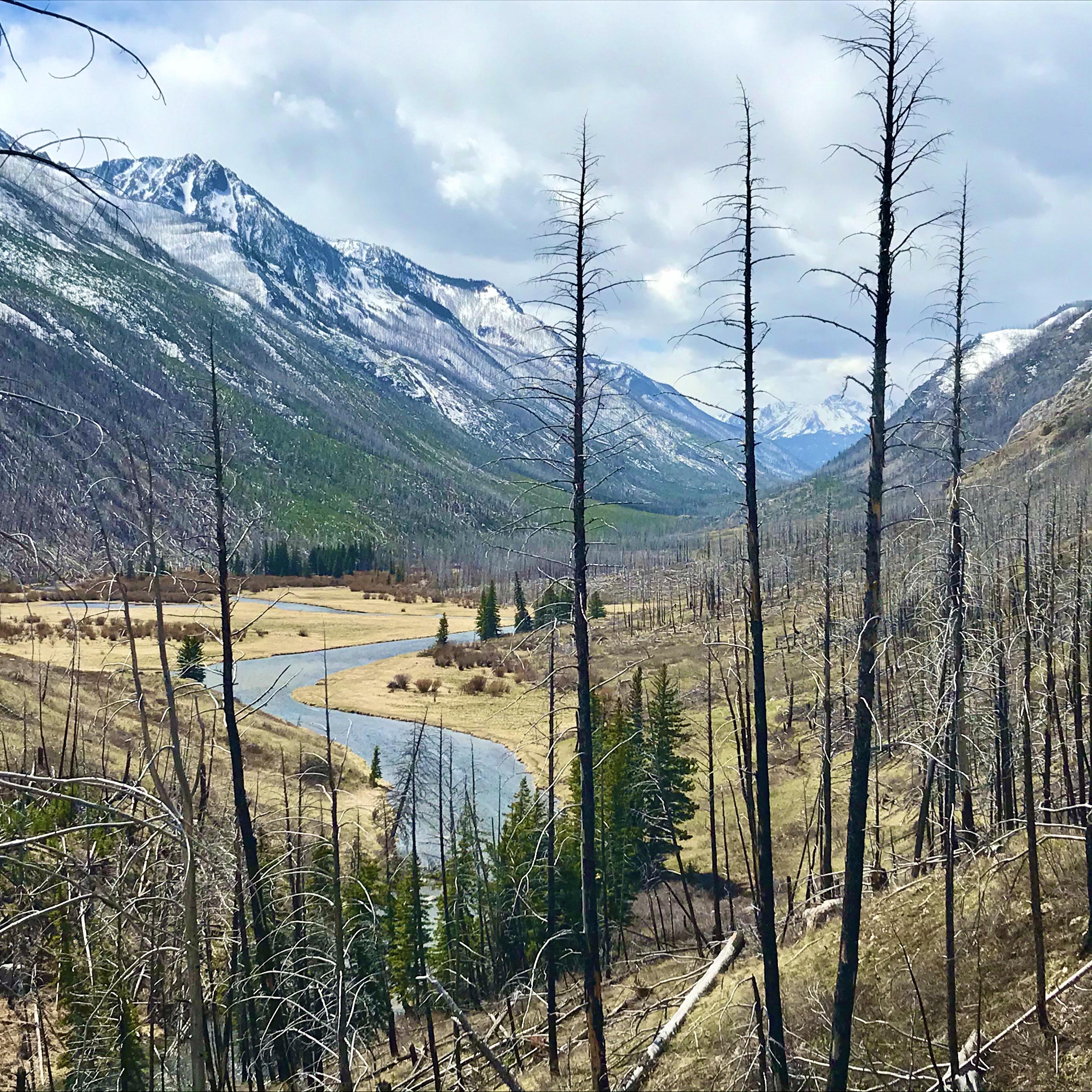 Isolation in the Absaroka Beartooth Wilderness of Montana r/hiking