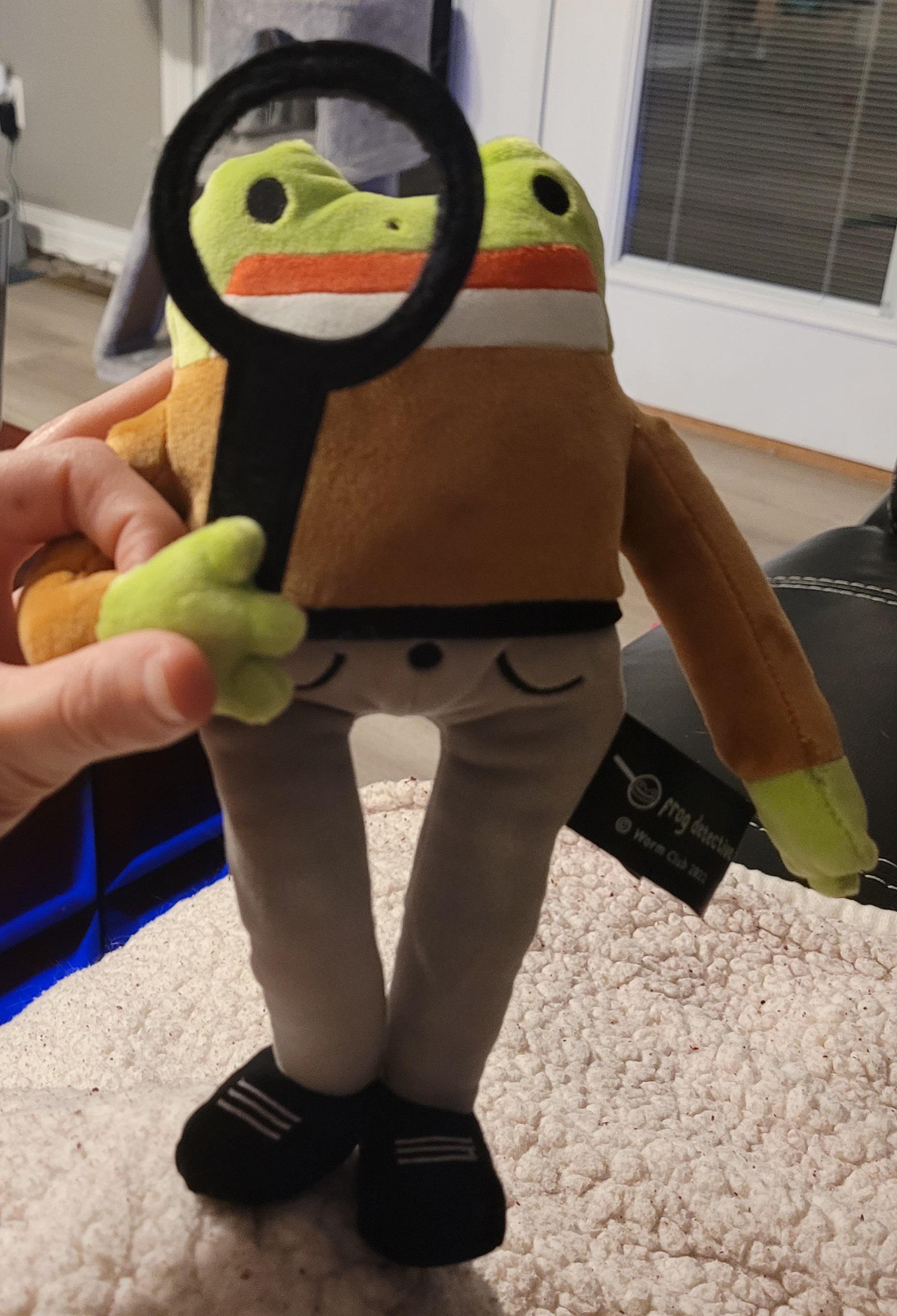 It's the world's 2nd best detective, Frog Detective!!! r/plushies