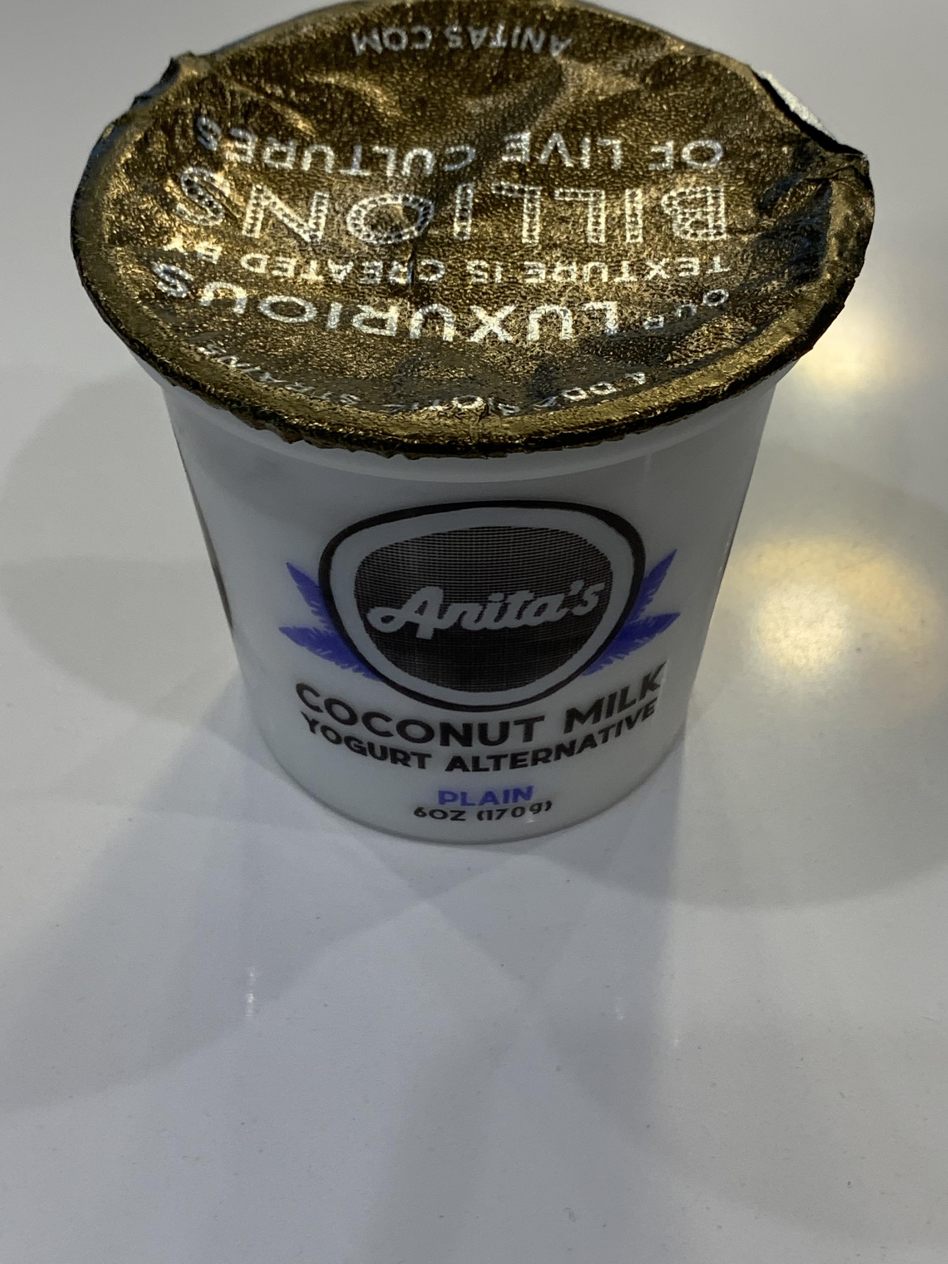 I found an AIP compliant coconut yogurt at Whole Foods, and actually