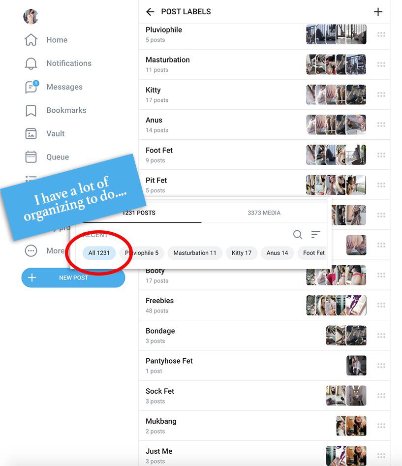 OnlyFans introduced “Labels” to help organize content, I’ll be working