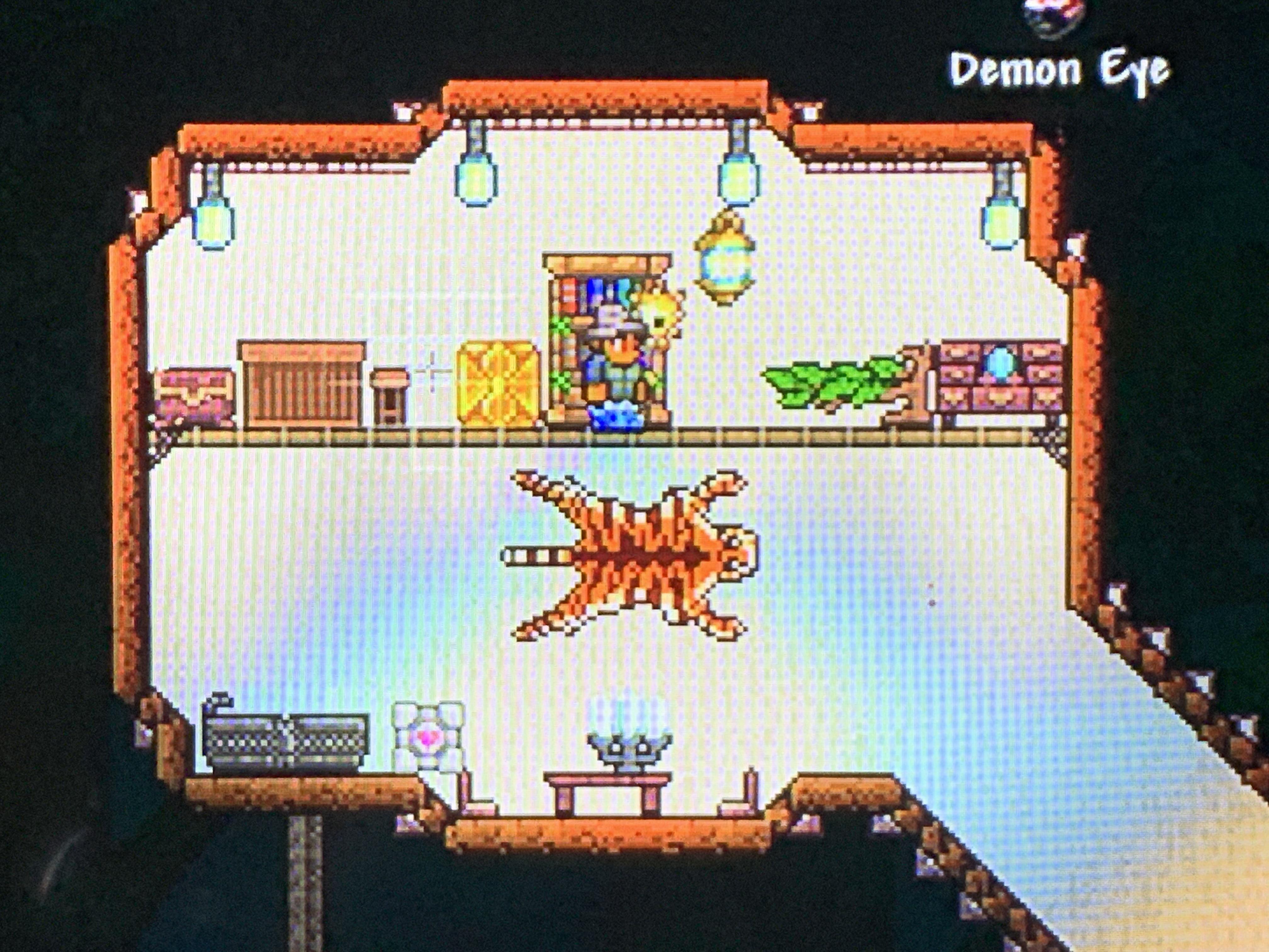 Can someone please tell me why this room is missing a wall r/Terraria