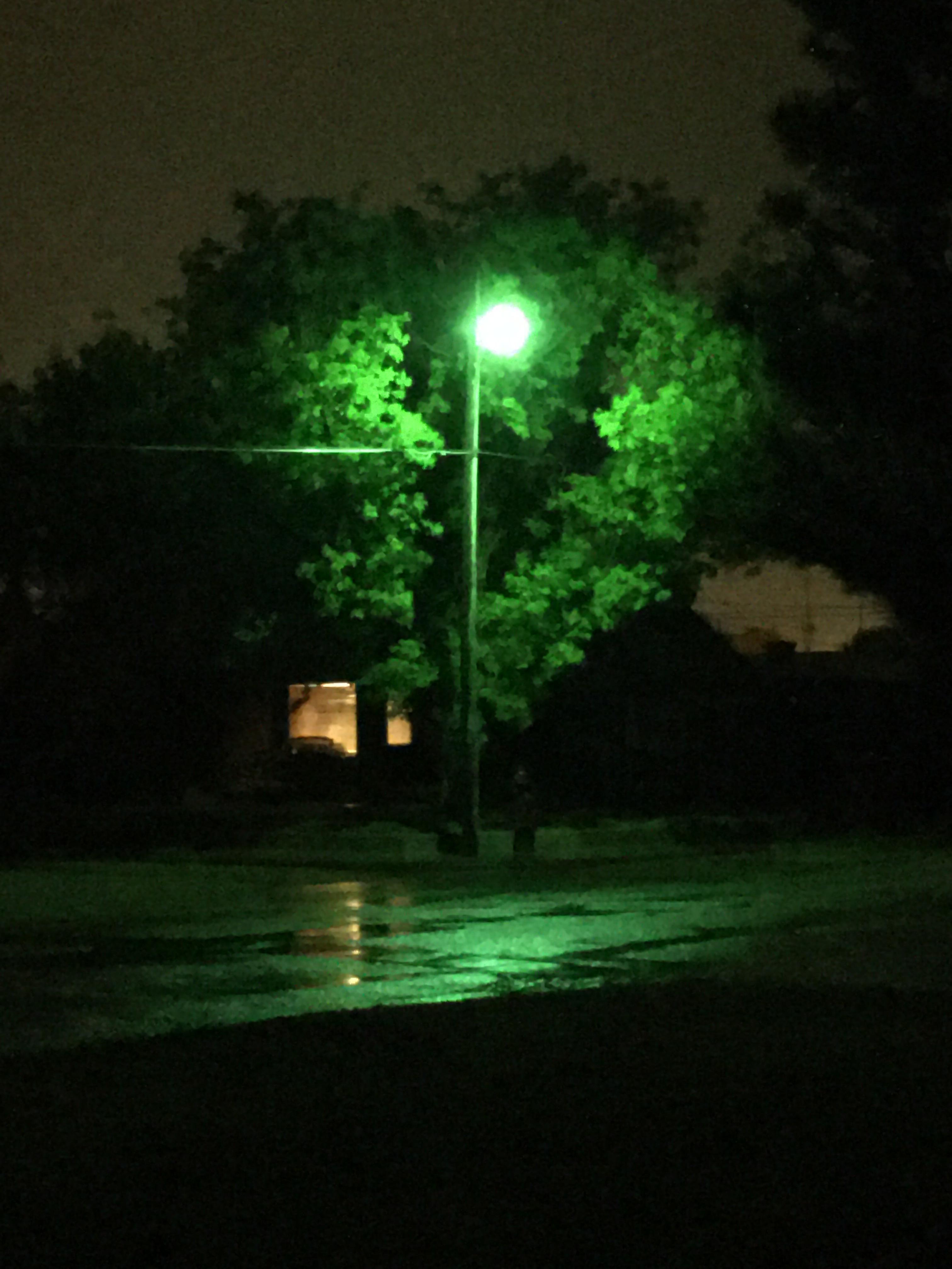 Took a pic of my street lamp during a storm kind of looks like a
