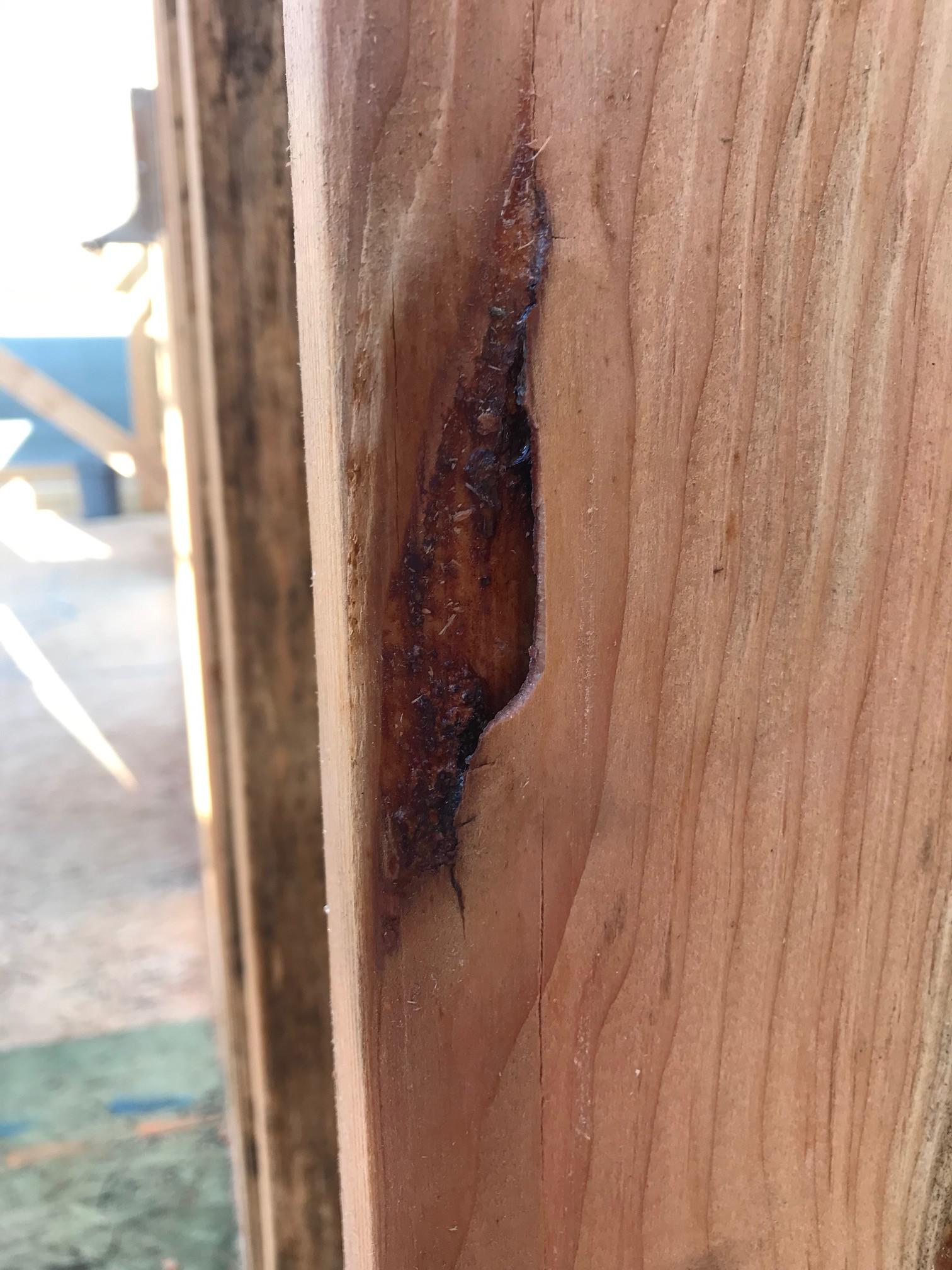 What happen to this wood? Is it infested with something? r/woodworking