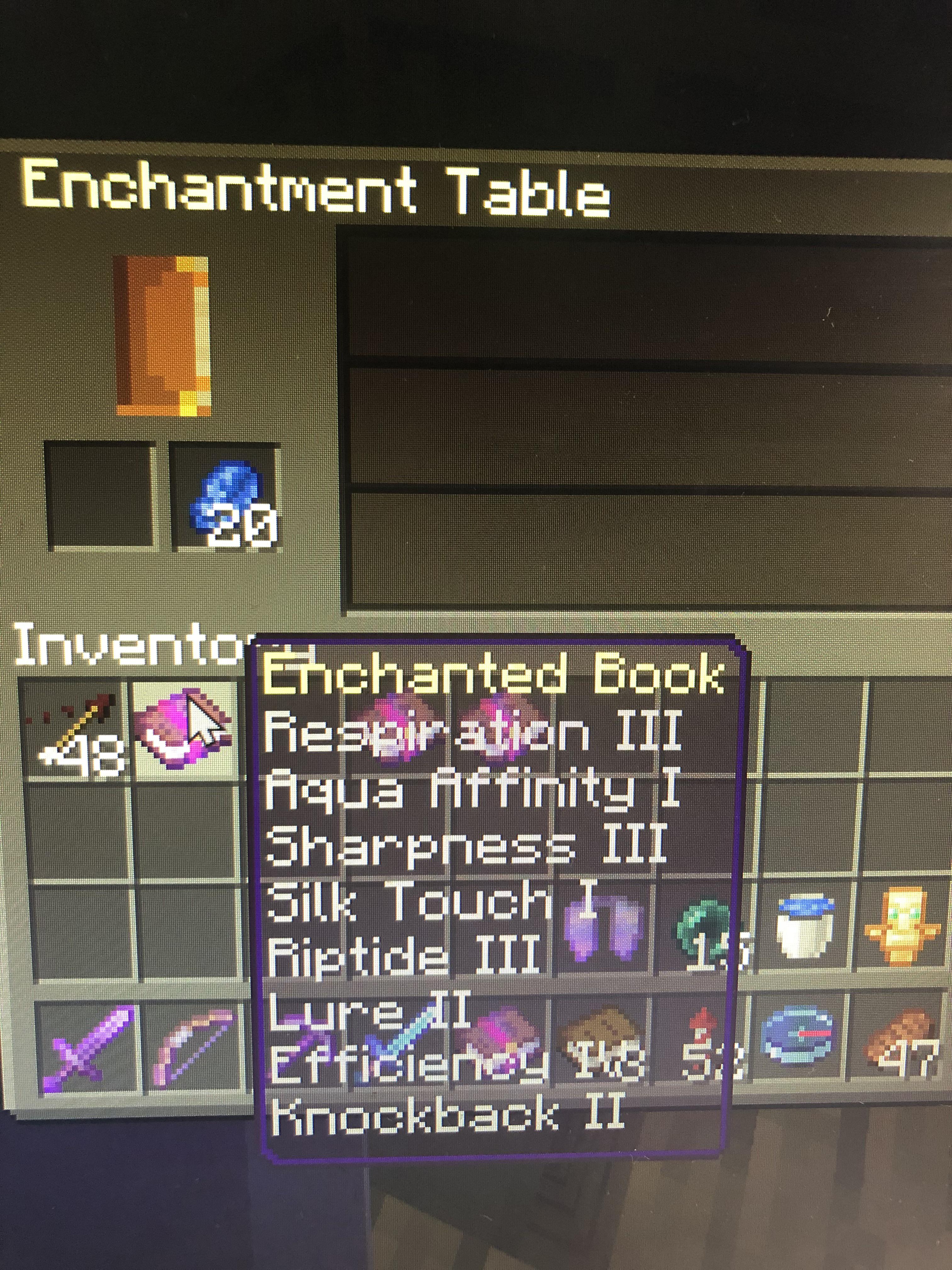 A legit 8 enchantment book from a level 30 enchant. Minecraft