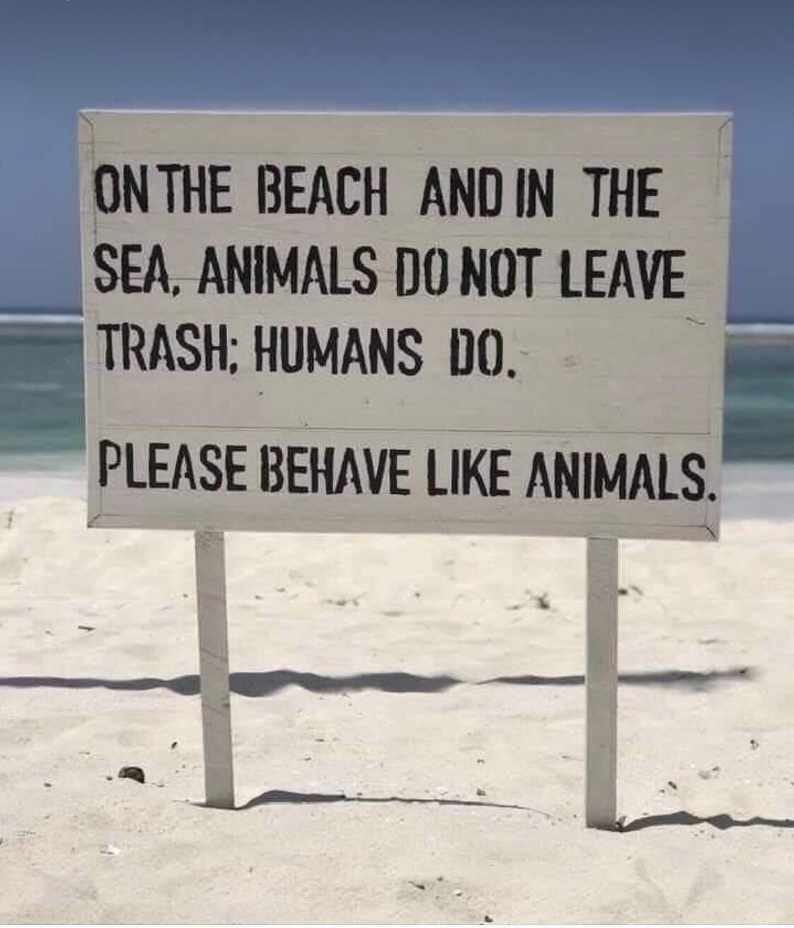 On the beach and in the sand, animals do not wear clothes; humans do. Please behave like animals