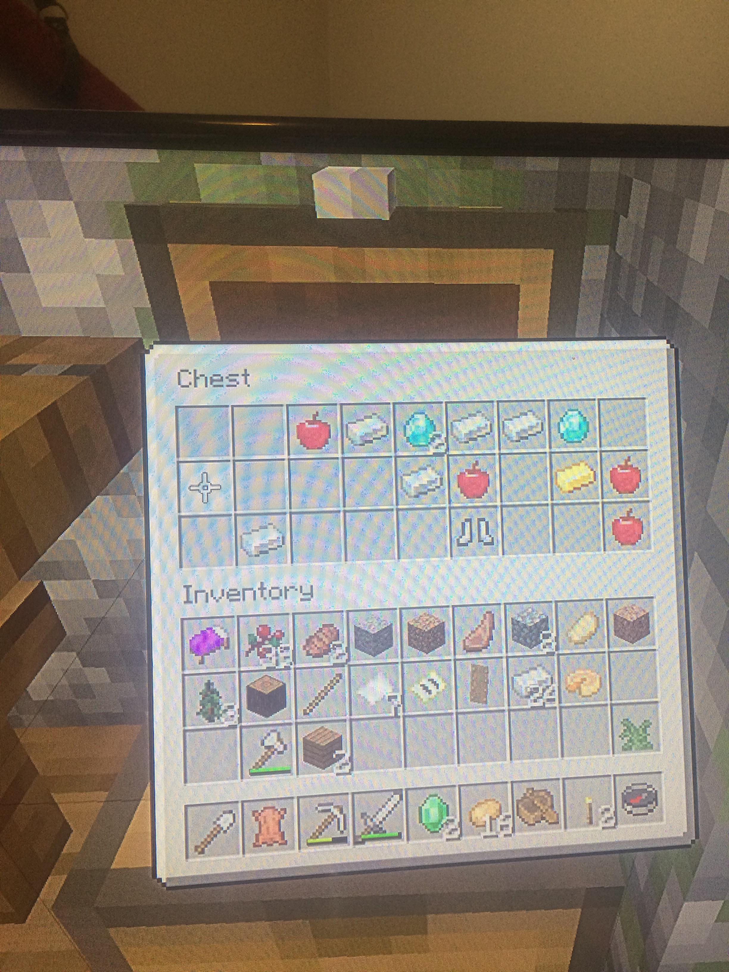 So uhh... just found this in a chest in a village r/Minecraft
