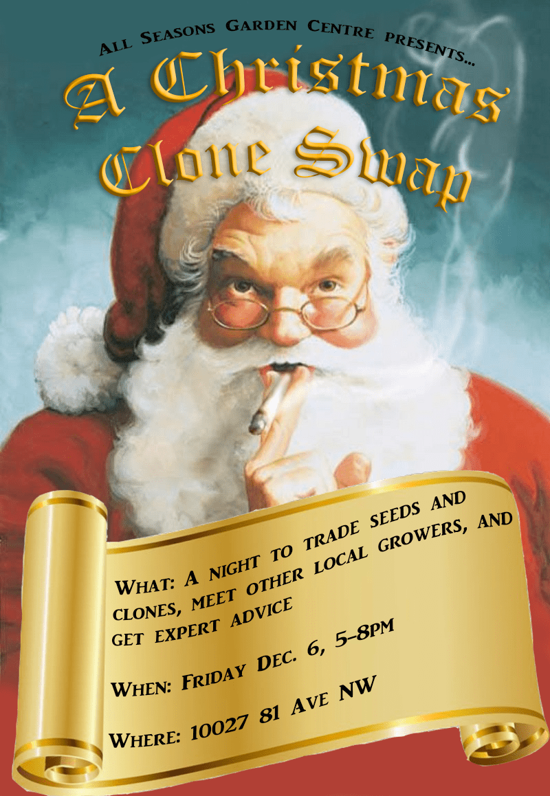 All Seasons Garden Centre is holding a Christmas Clone Swap