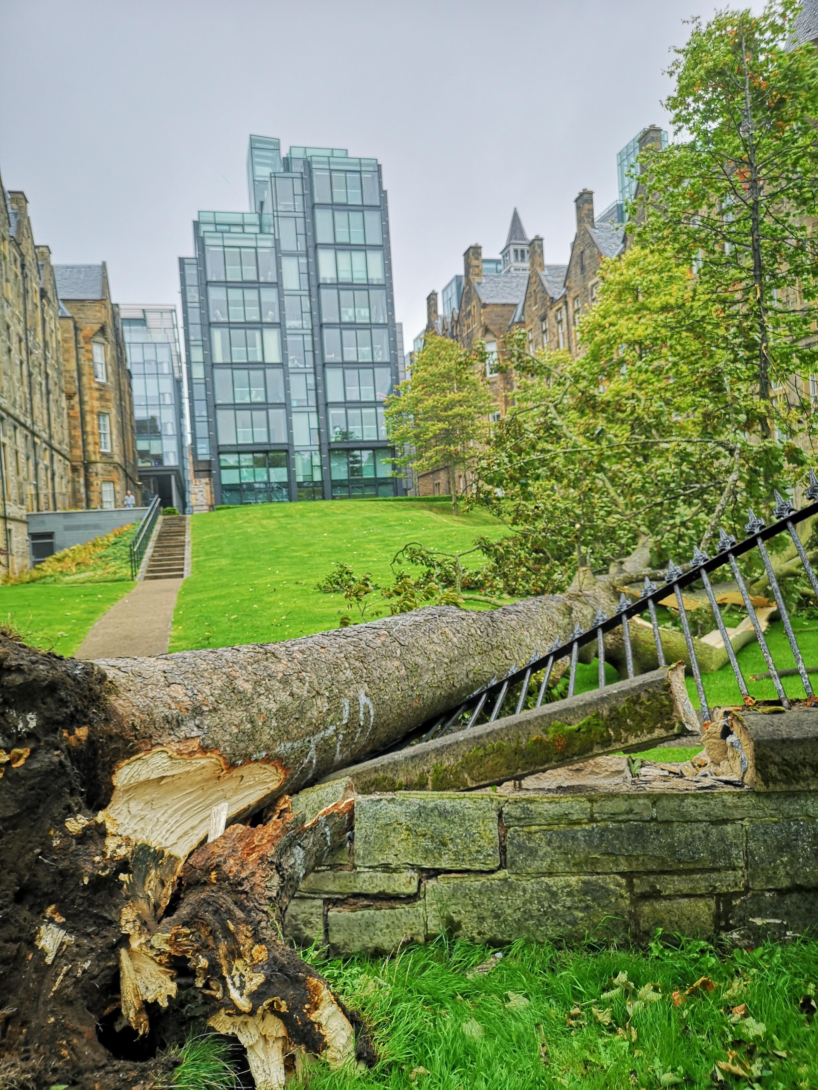 Quarter Mile taking a hit r/Edinburgh