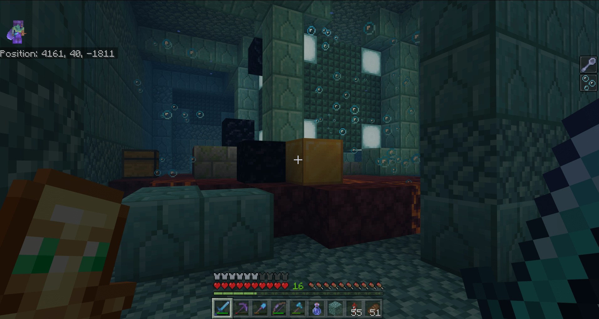 Soo, a nether portal ruin has generated inside the treasure room of an