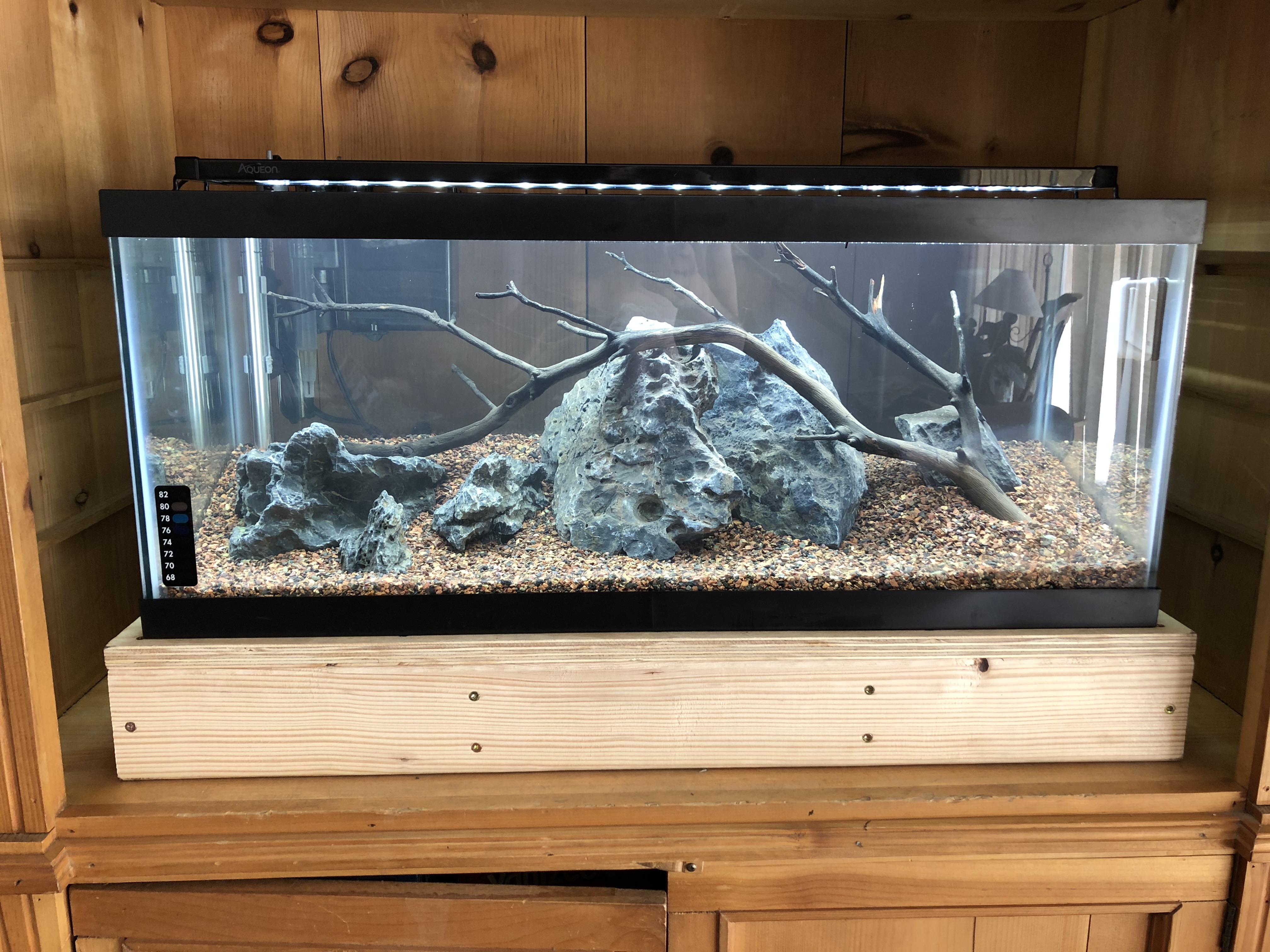 I set this aquarium up for my betta! What do you think of