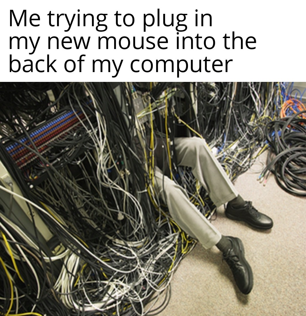 I hear Bulldog loves cables r/AdmiralBulldog