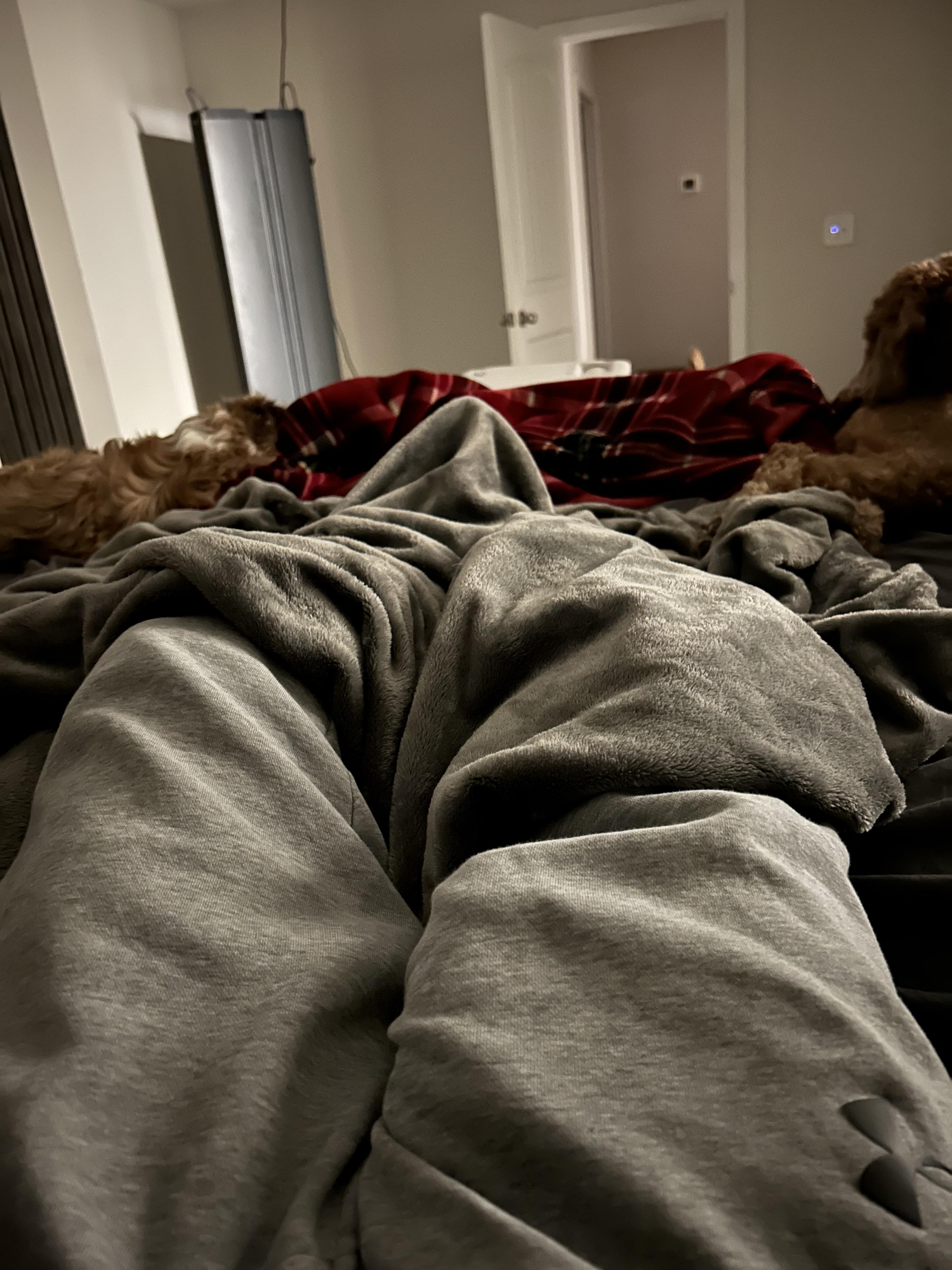 Grey sweat pant season is here! r/sweatpantsbulge