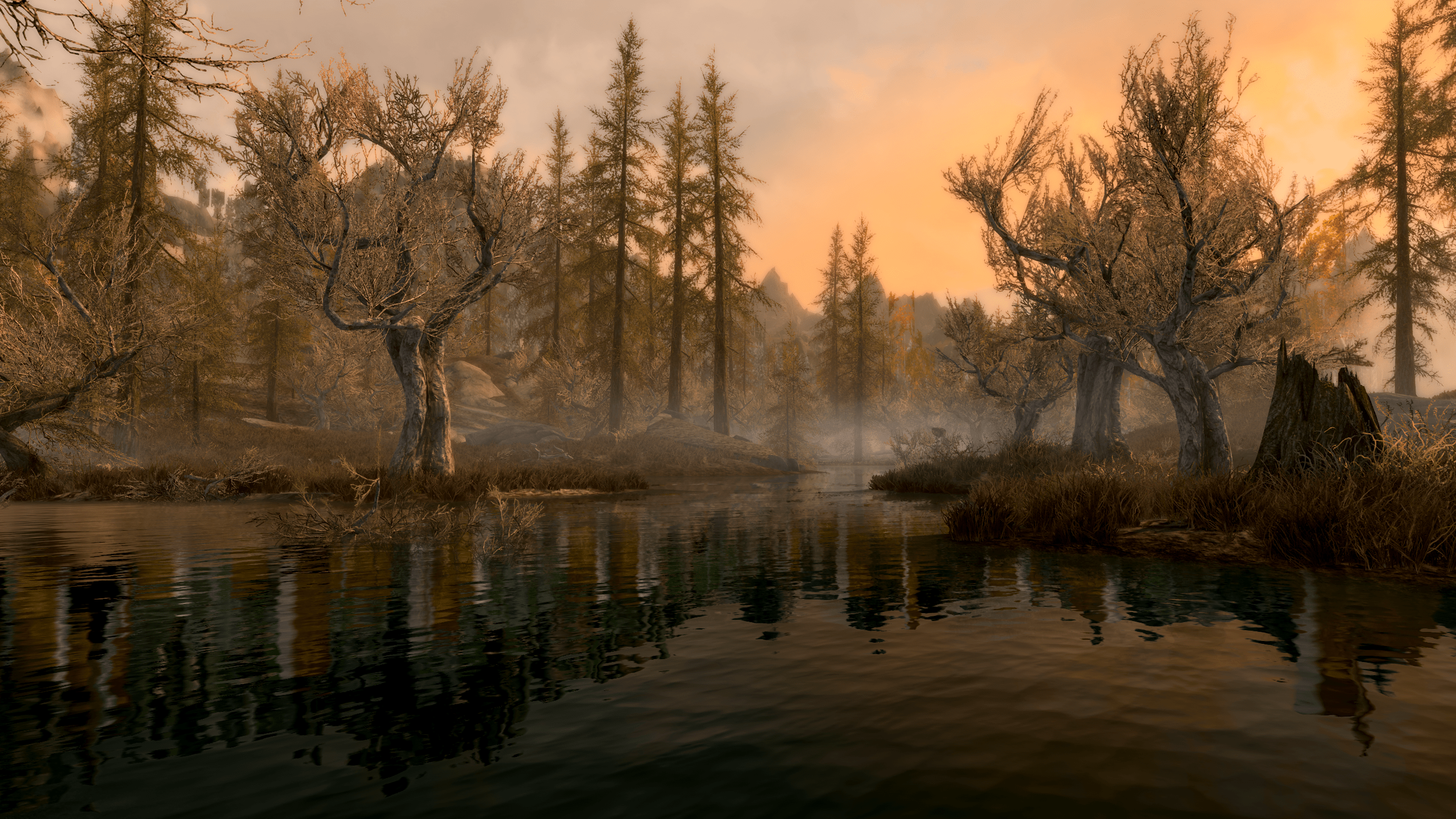 A rare moment of peace in the Morthal swamps r/skyrim