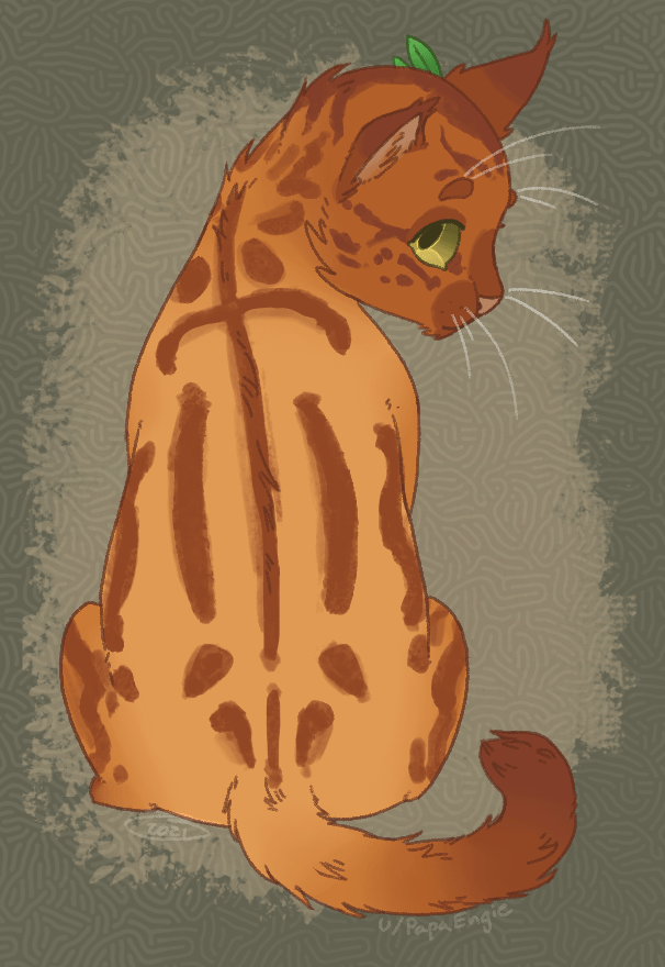 My medicine cat OC Sunpool