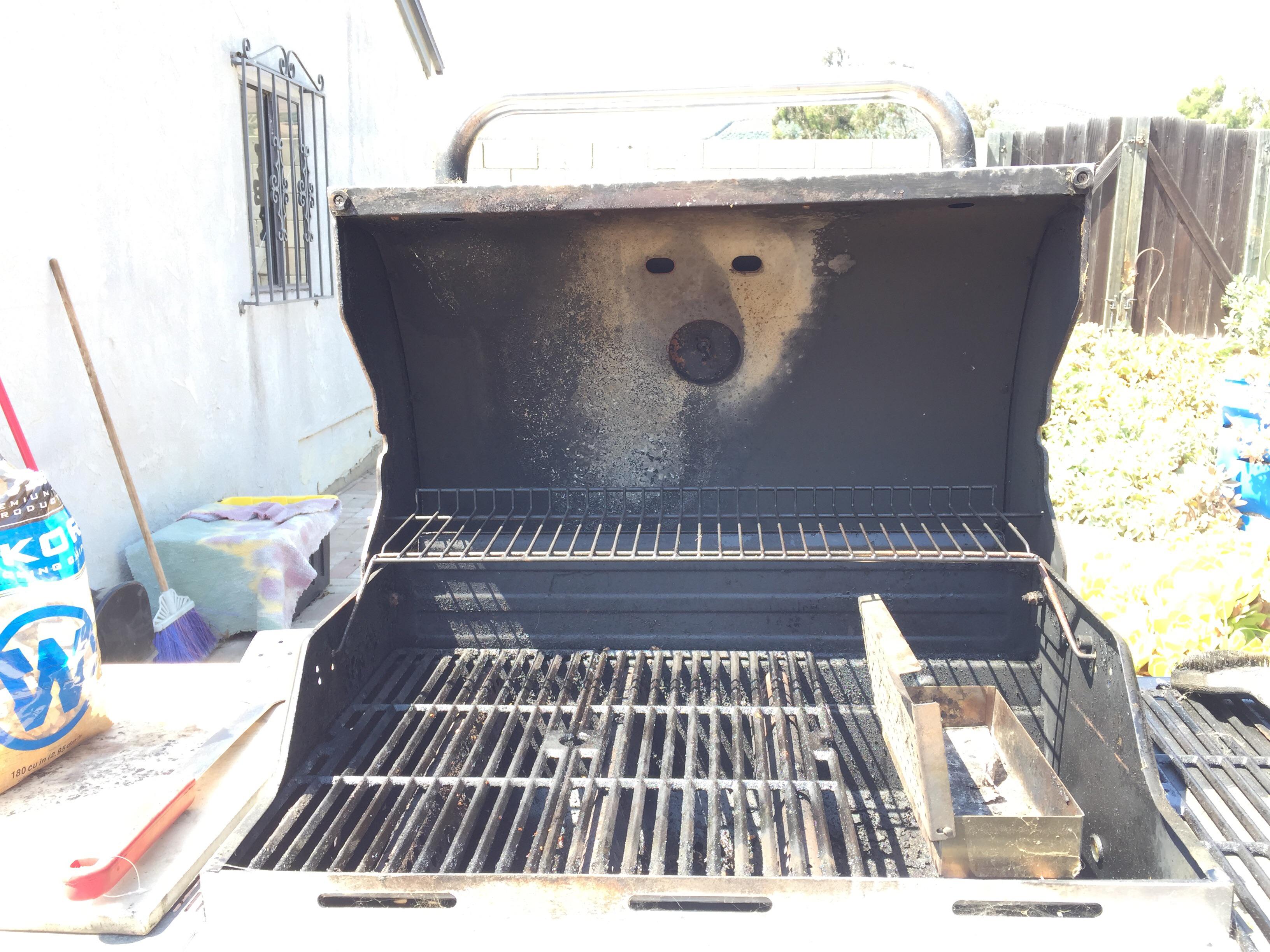 Grill polar bear r/confusing_perspective