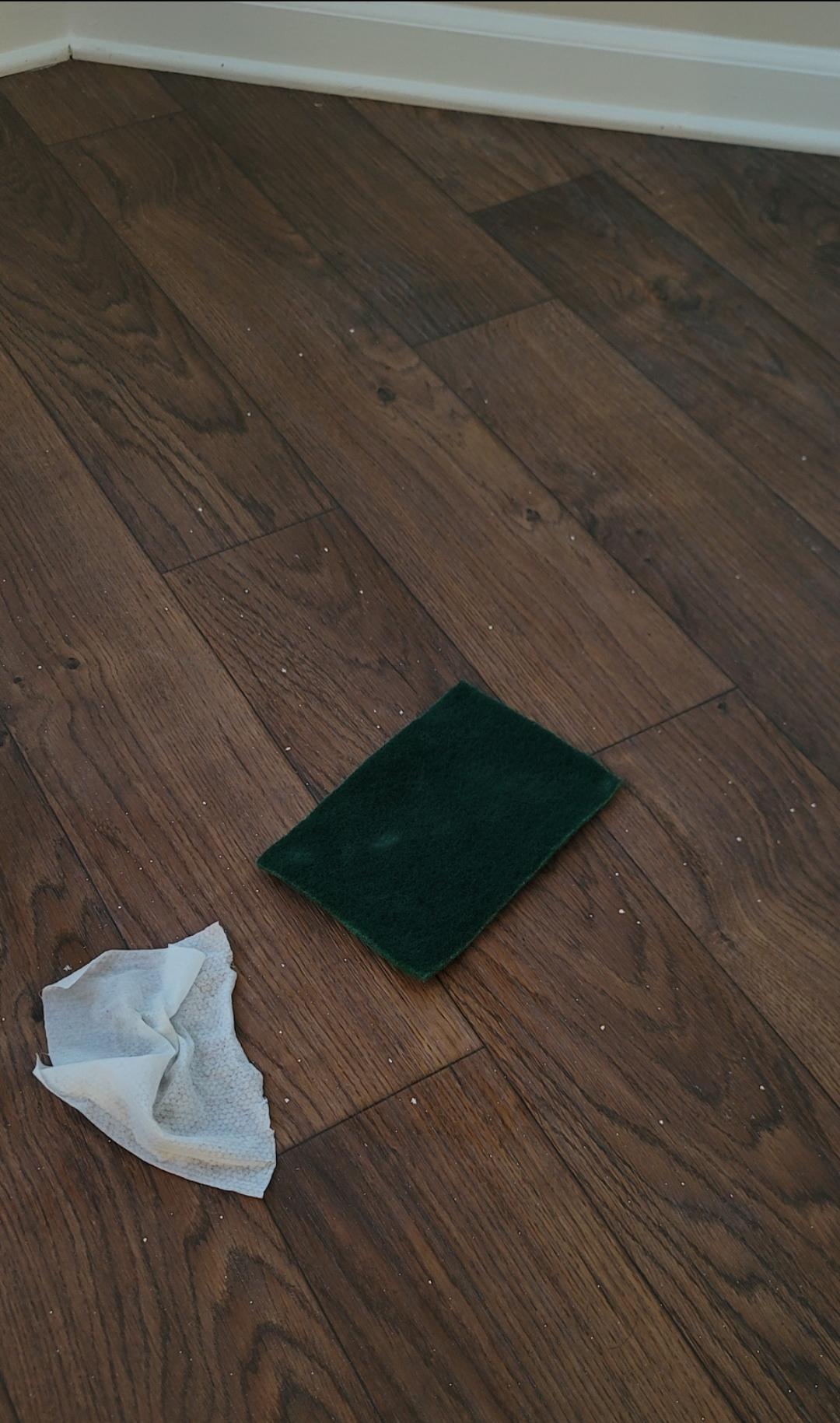 Cleaning vinyl flooring of paint splatter! r/PropertyManagement