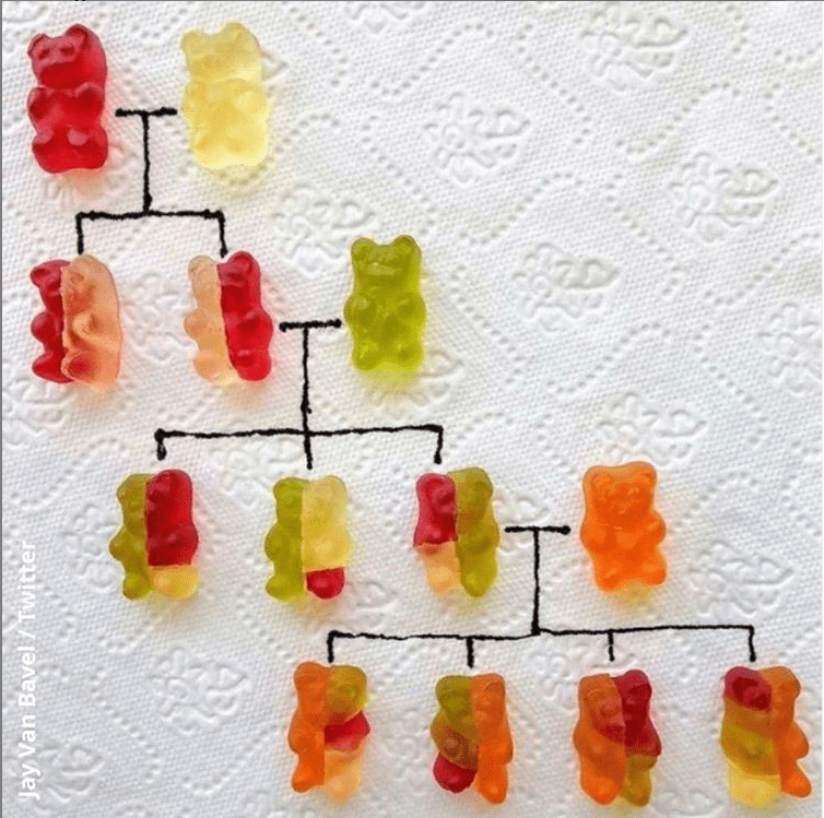 DNA Explained Through Gummy Bears interestingasfuck