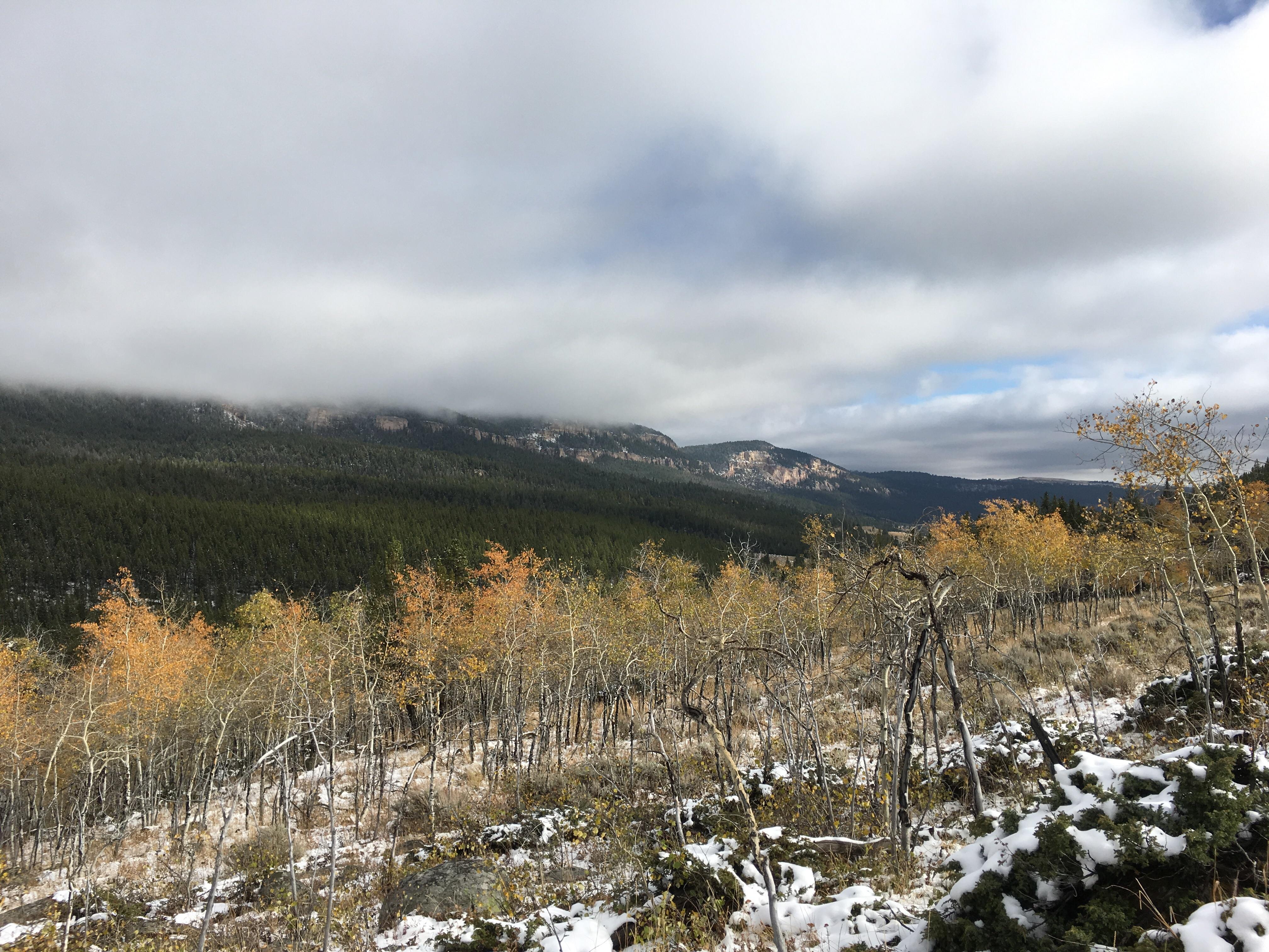 Big Horn Mountains near Ten Sleep, Wyoming, USA [OC] [1920x1080] r