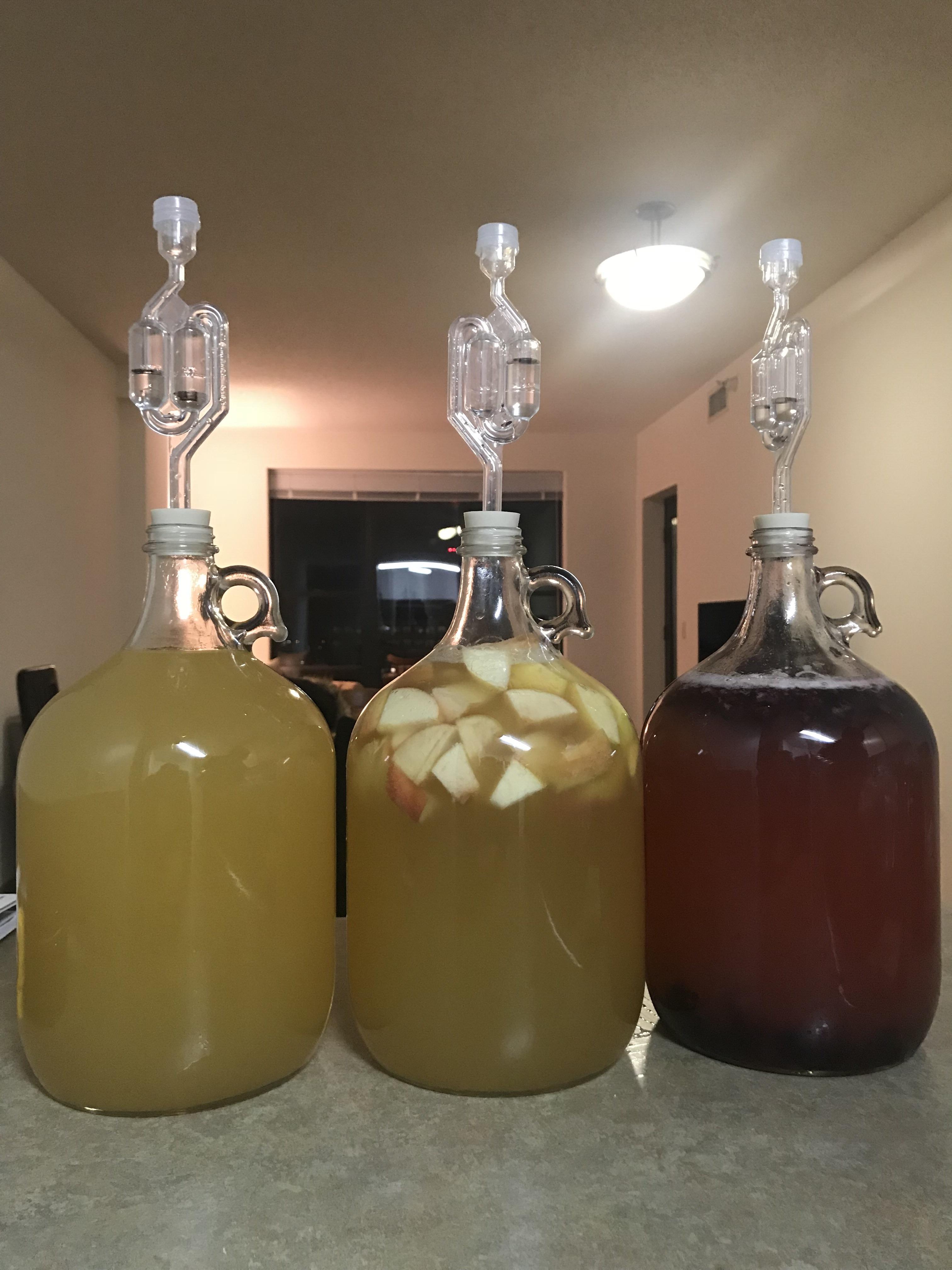 Racked my first mead yesterday (traditional, apple cinnamon, and blackberry) r/mead