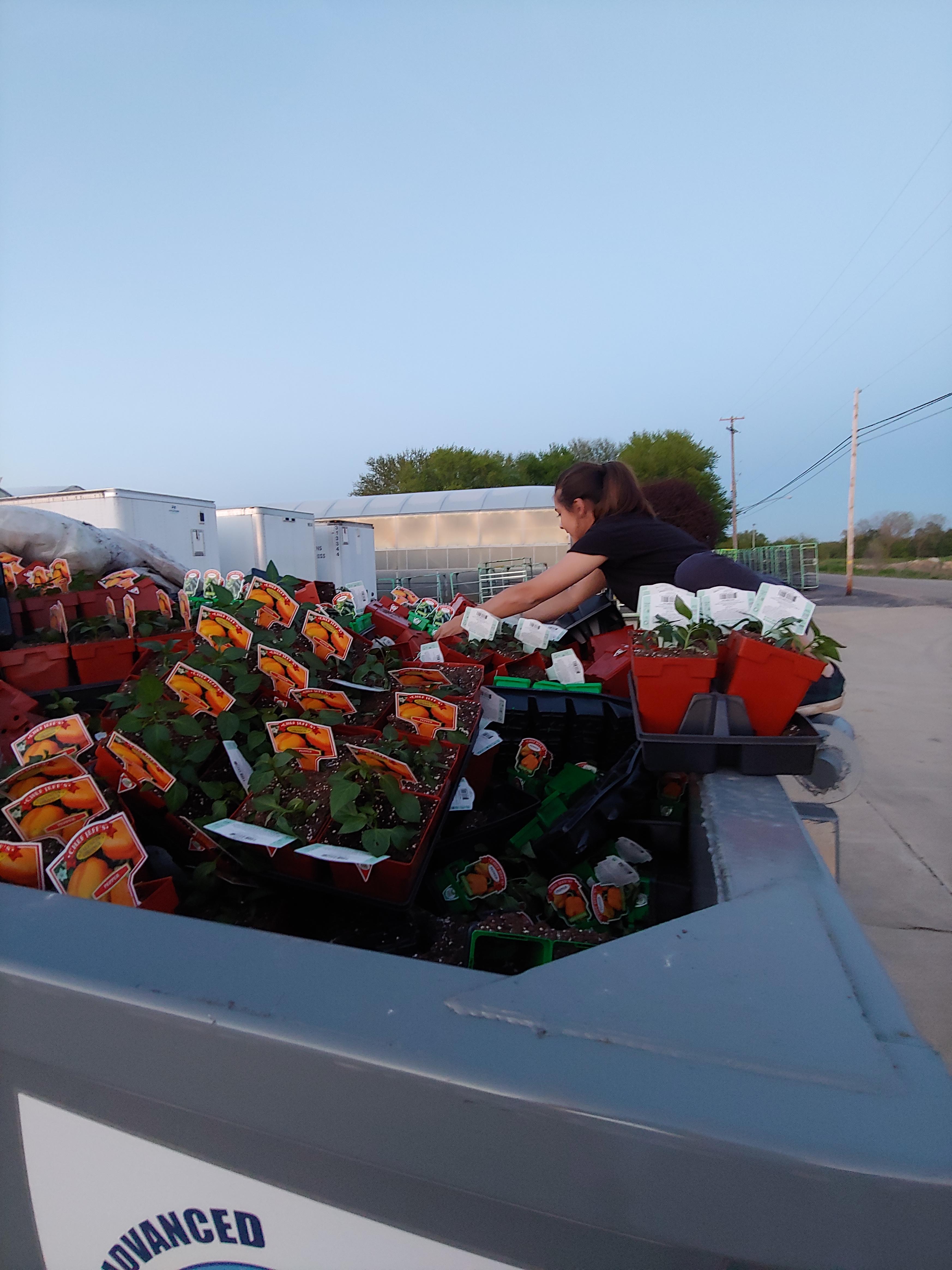 Local greenhouse throws out perfectly good plants and vegetables, first