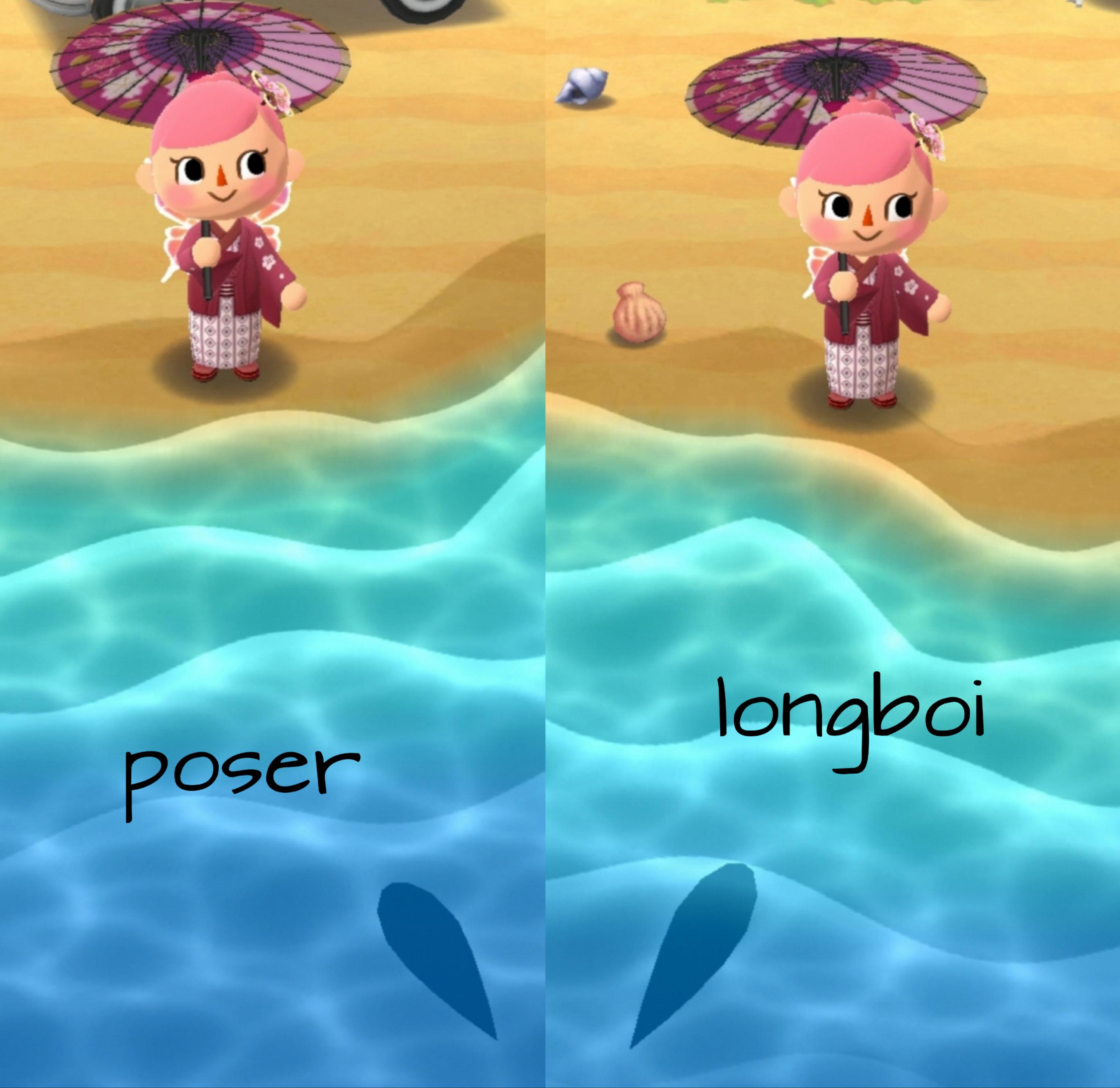 Animal Crossing Fish Shadow Sizes Animal Crossing New Horizons Fish