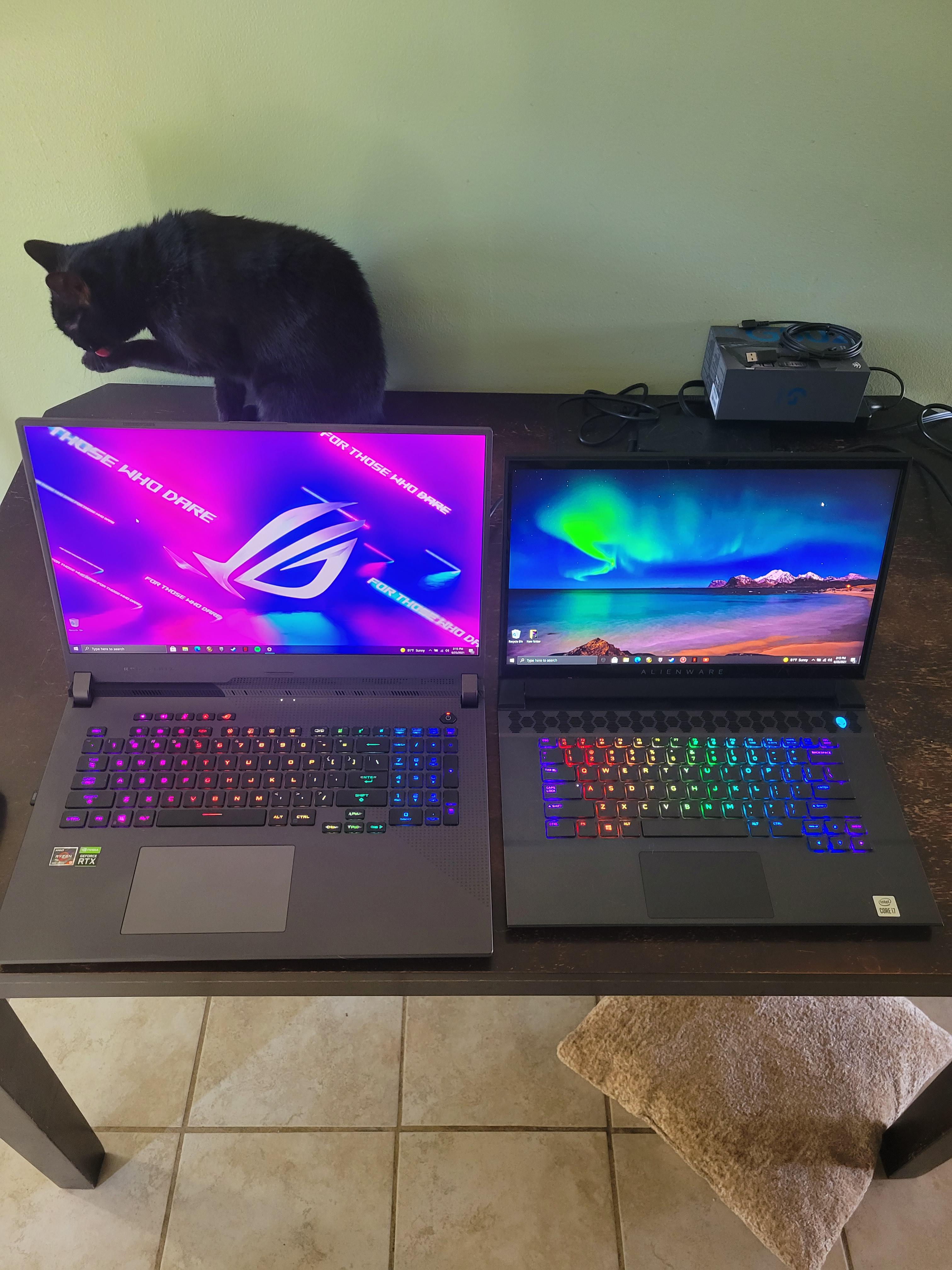 G17 Rog Strix 17 QHD, my new favorite gaming laptop r/GamingLaptops