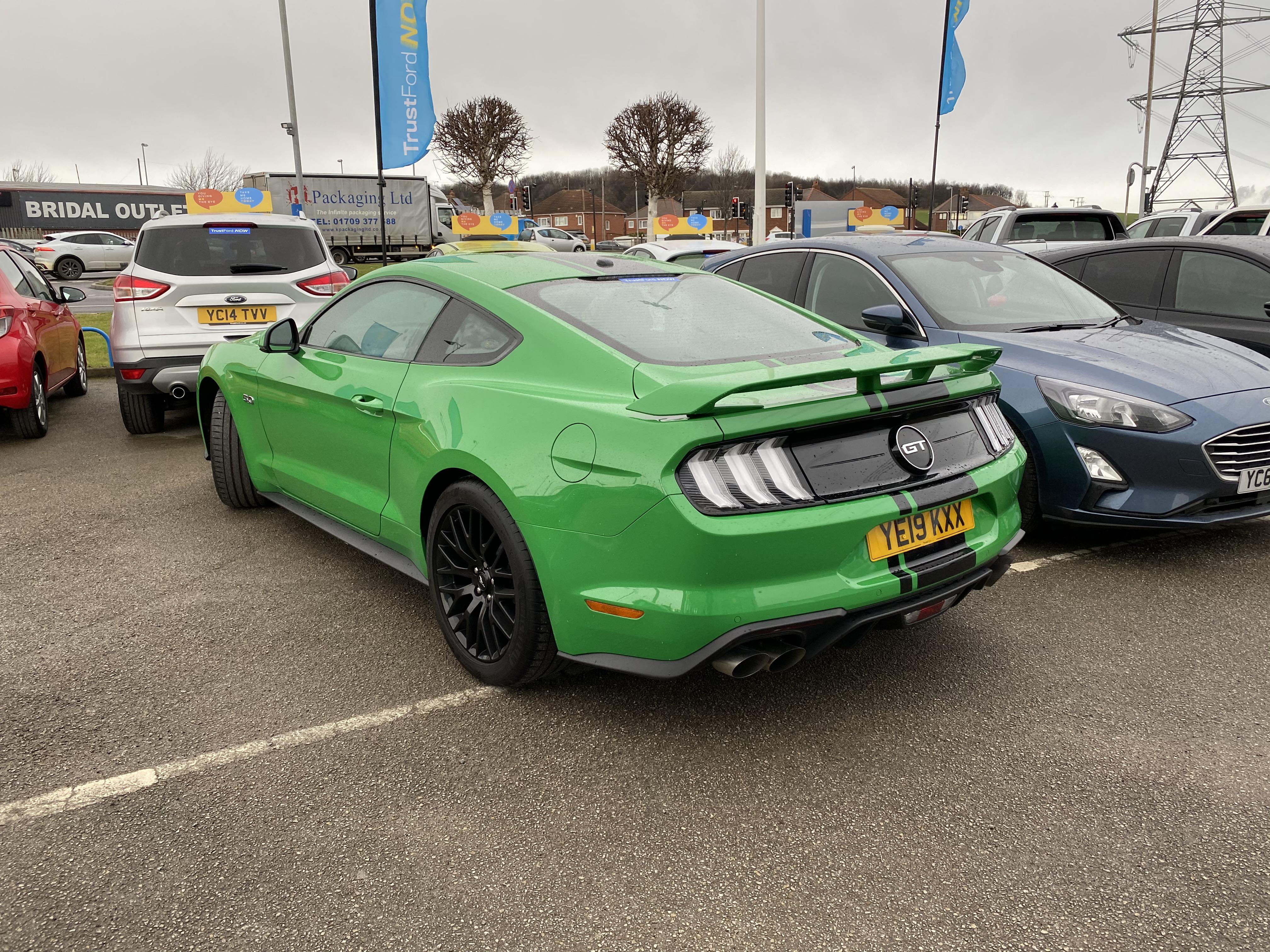 246 best Green Bastard images on Pholder Trailerparkboys, HOTD Greens