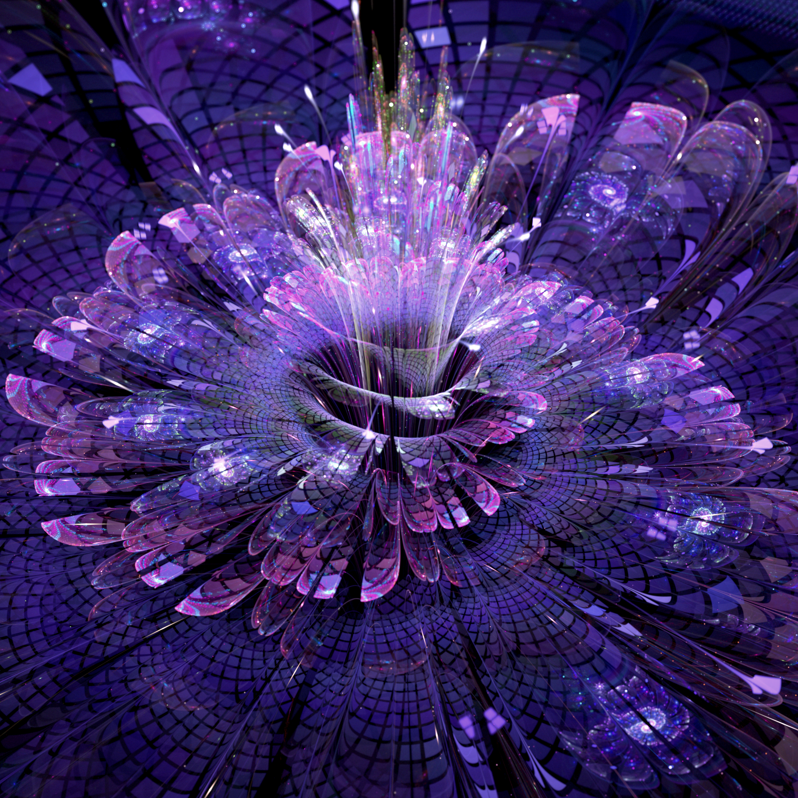 Galaxy flower r/fractals