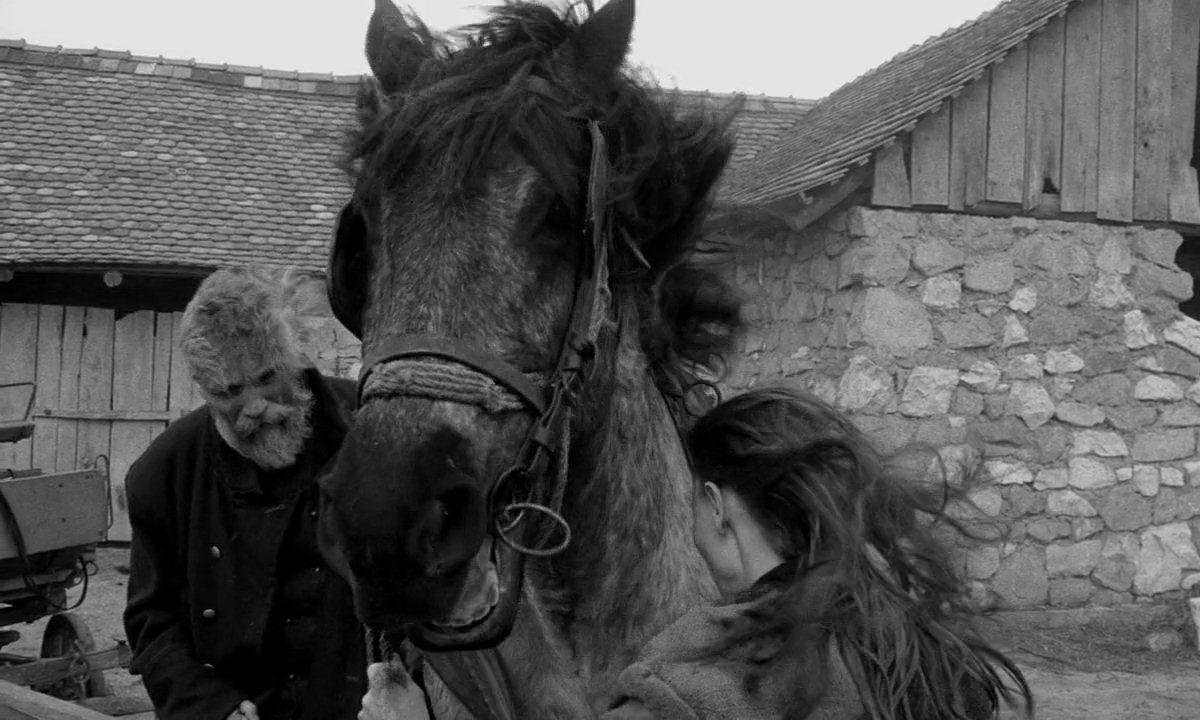 The Turin Horse (2011) r/CineShots