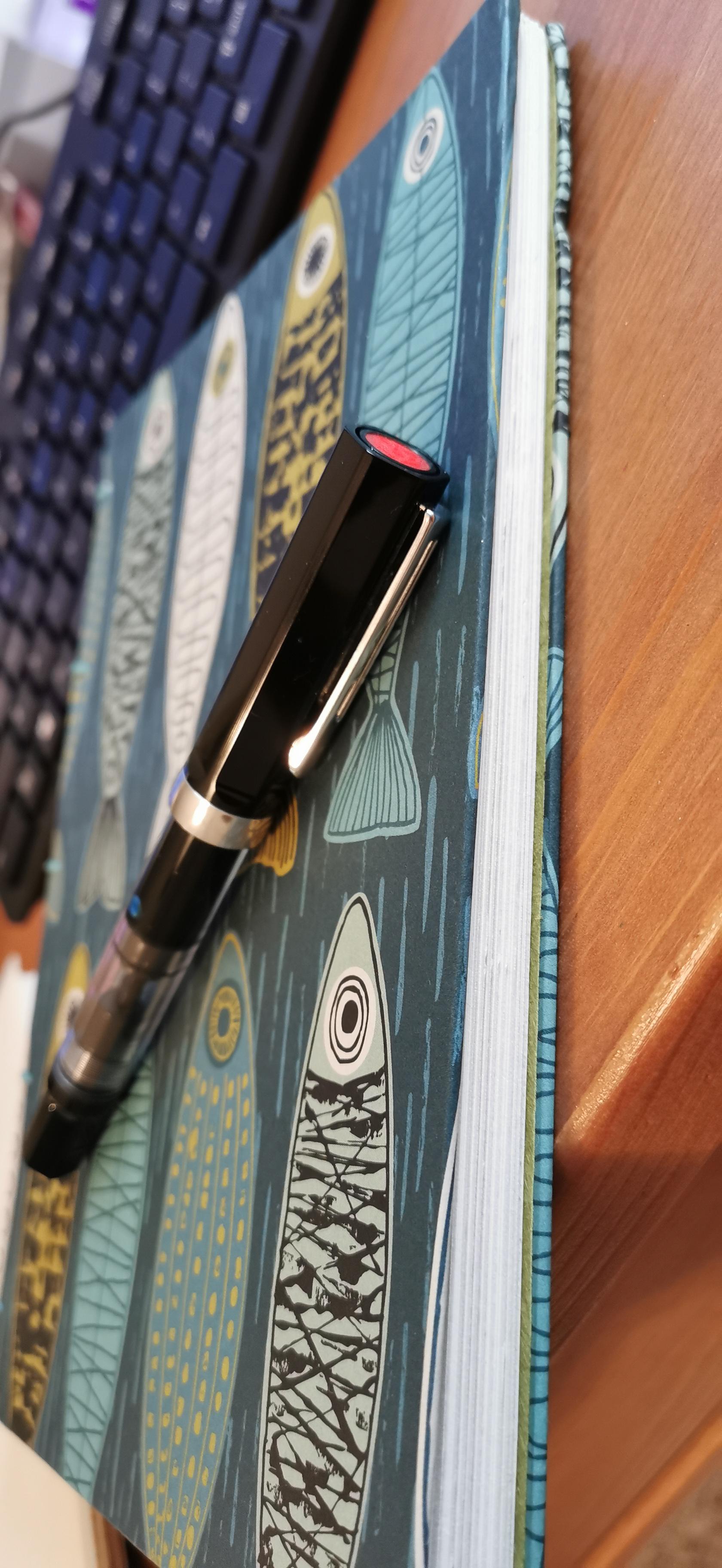 Next Journal and fountain pen are ready.... r/Journaling