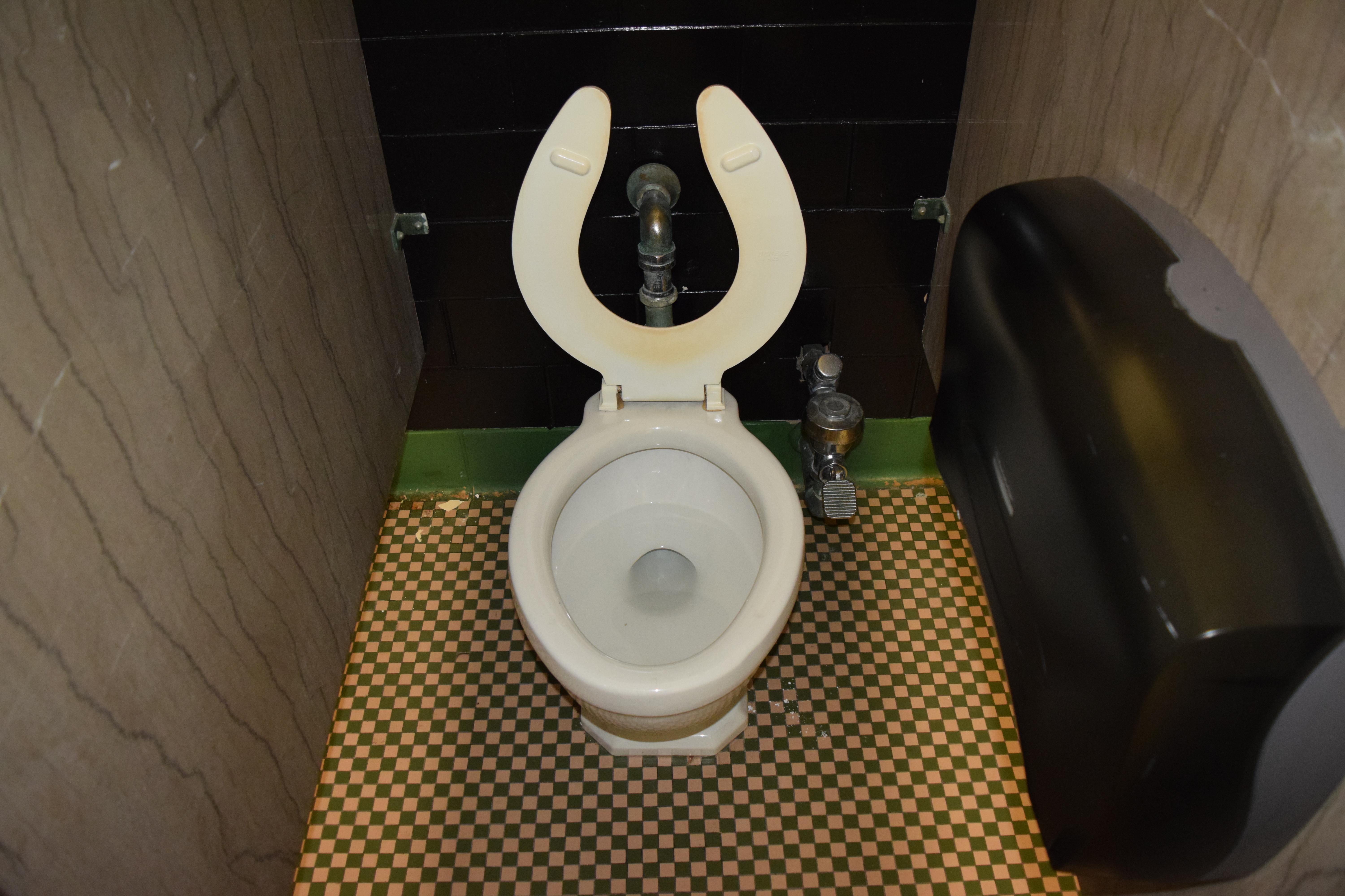 This toilet has a footactivated flush mechanism r/mildlyinteresting