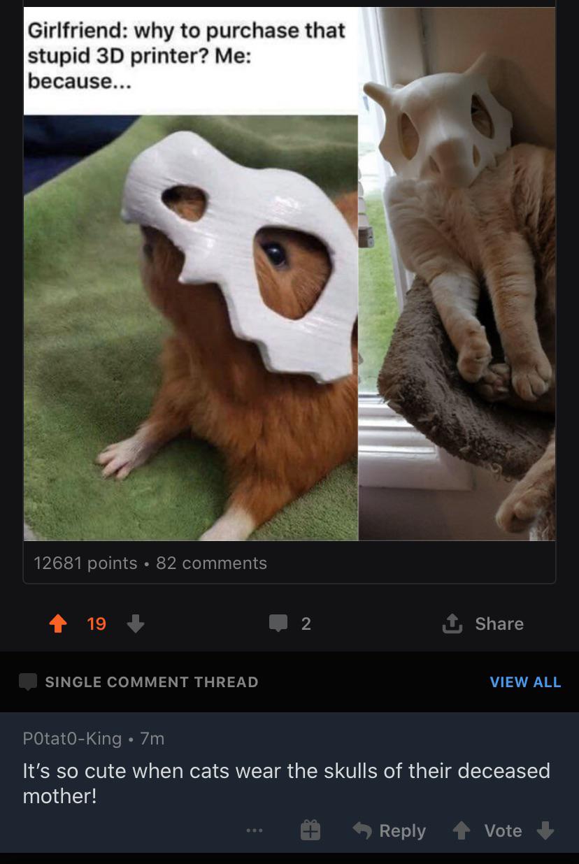 Cursed cat hat