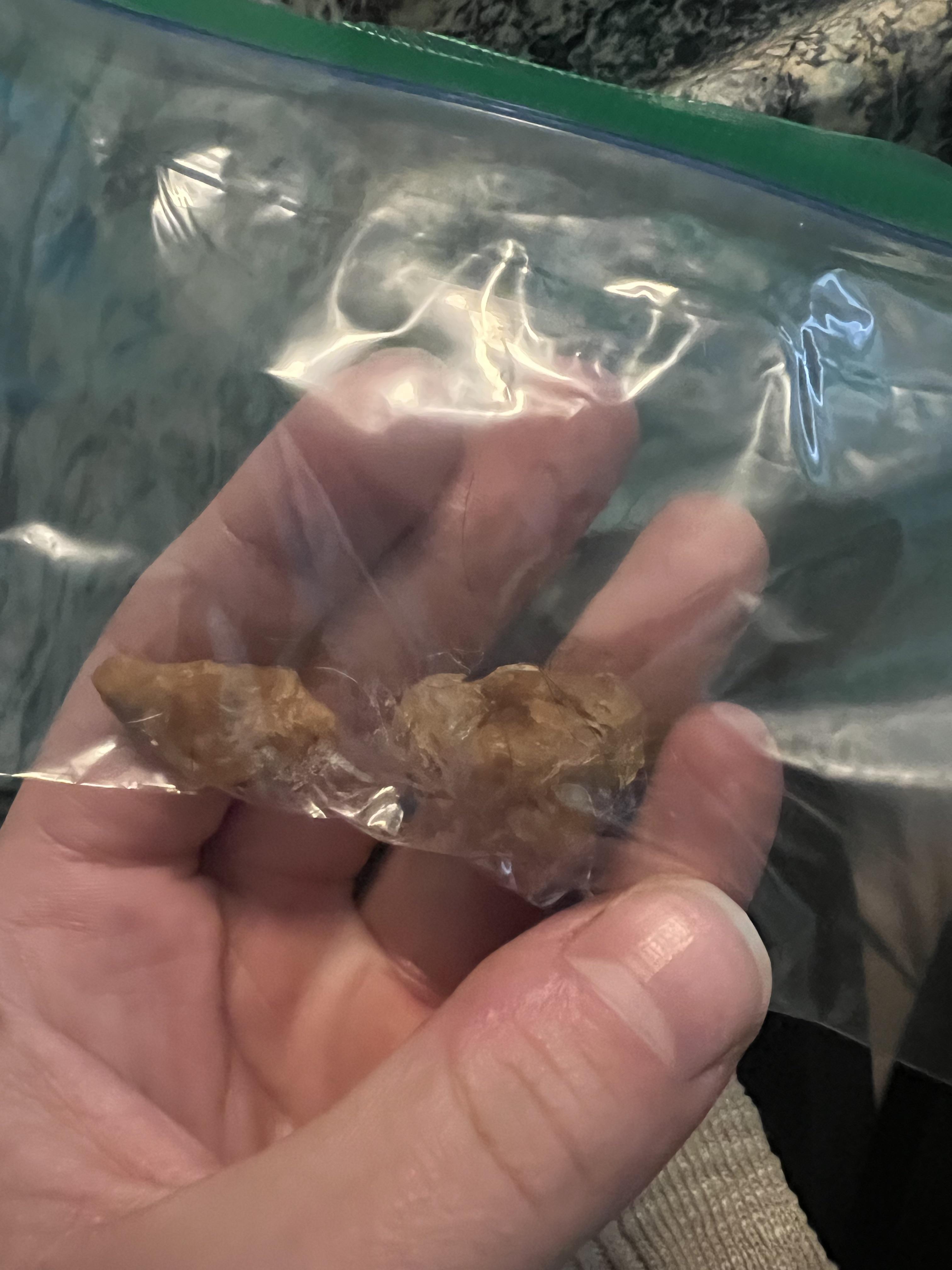 Dog Got Sick And These Came Up…Any Ideas? r/DogAdvice