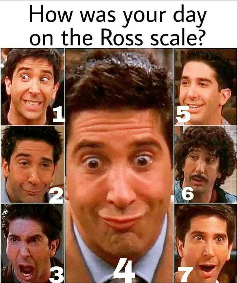 How was your day on the Ross scale 😂 r/howyoudoin