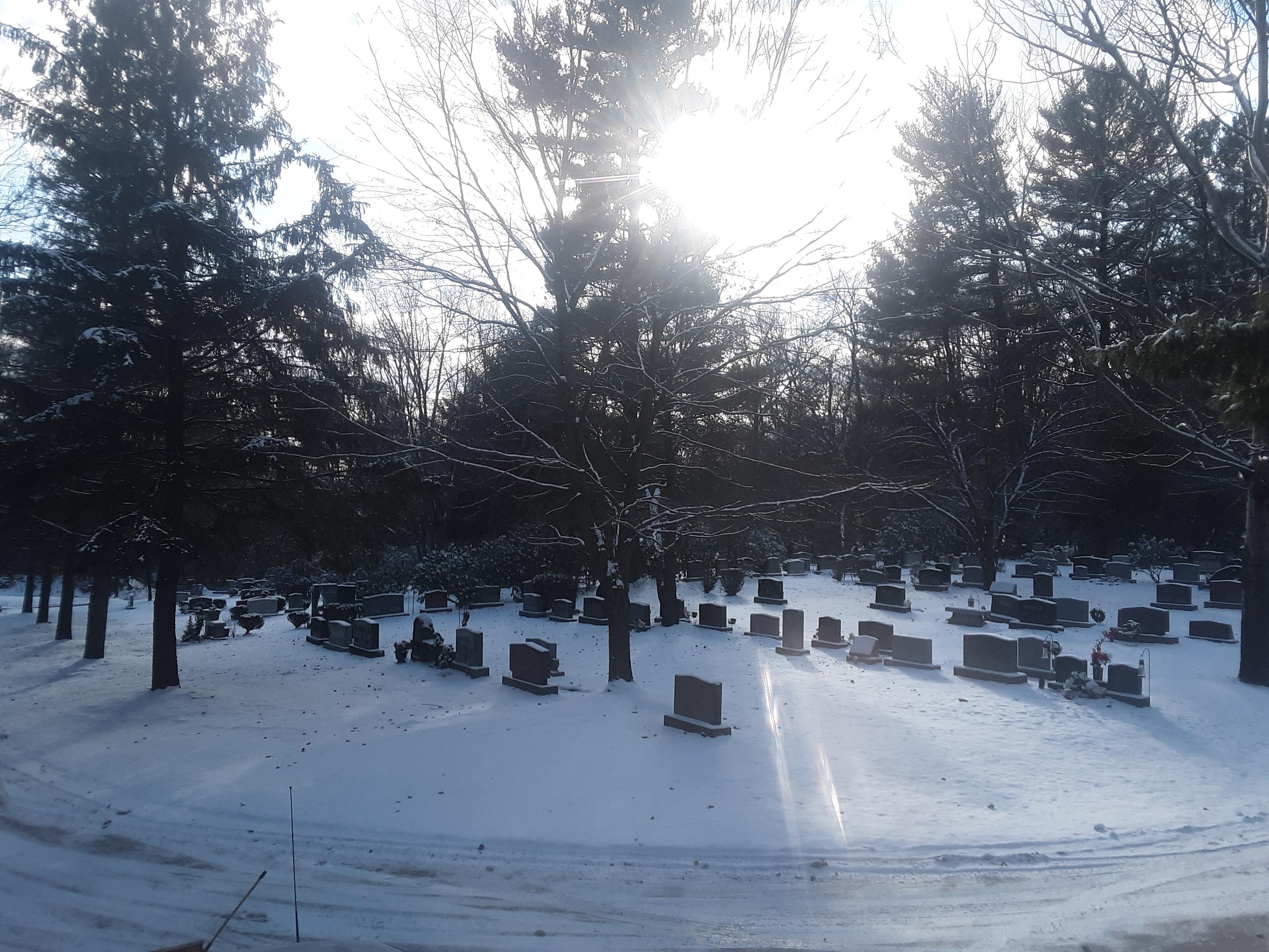 Colder than it looks. Section 1, Chestnut Hill Memorial Park, Cuyahoga