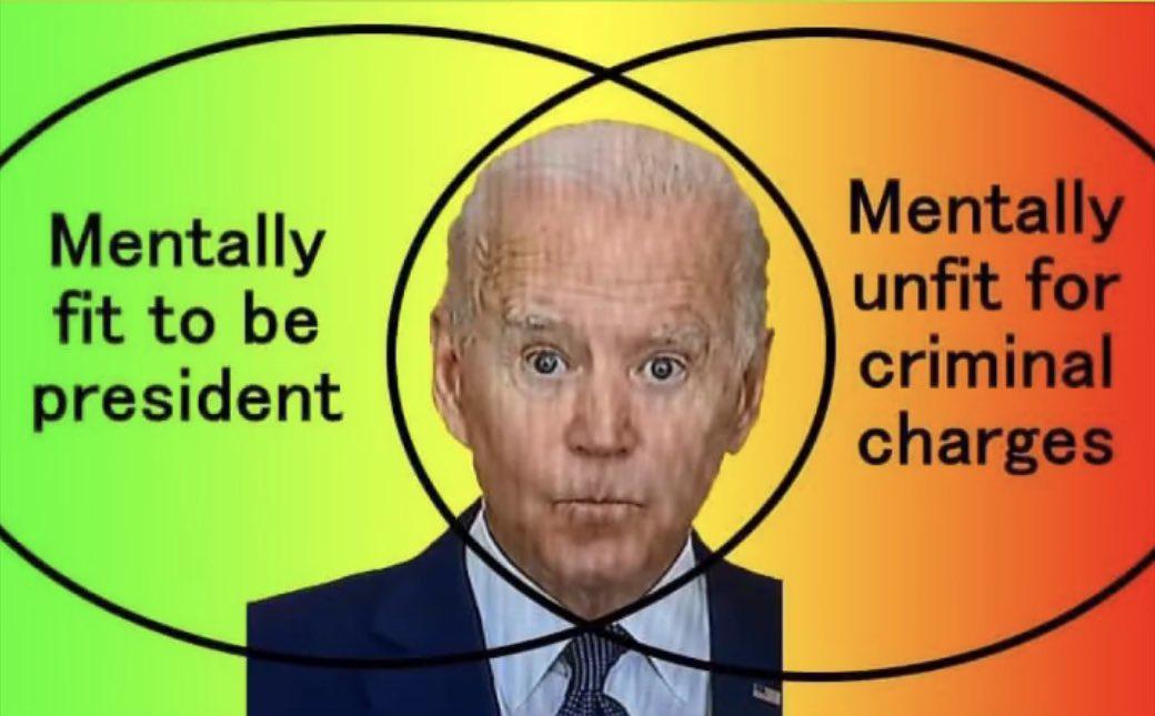 Accurate Venn diagram : r/TheBidenshitshow