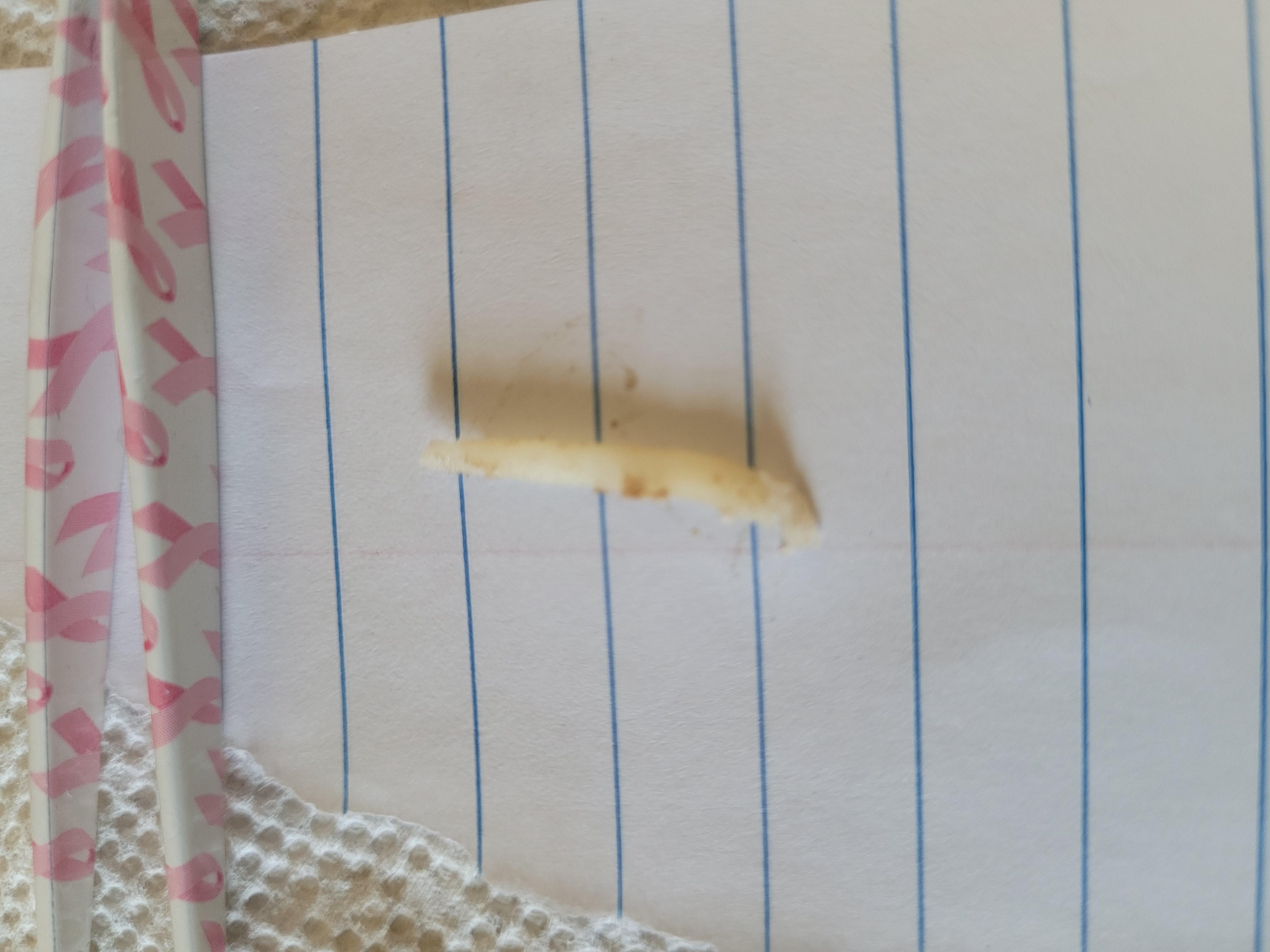 Is this a worm? My dog just threw this up. r/DogAdvice