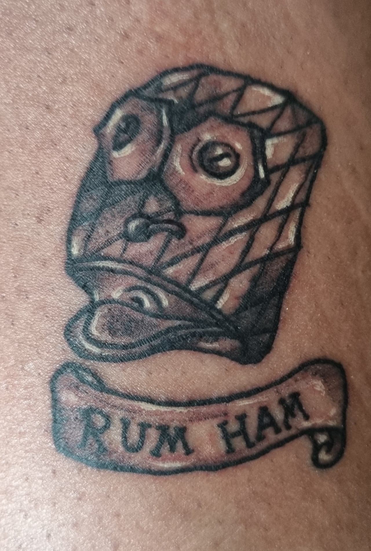 RUM HAM!! r/IASIP