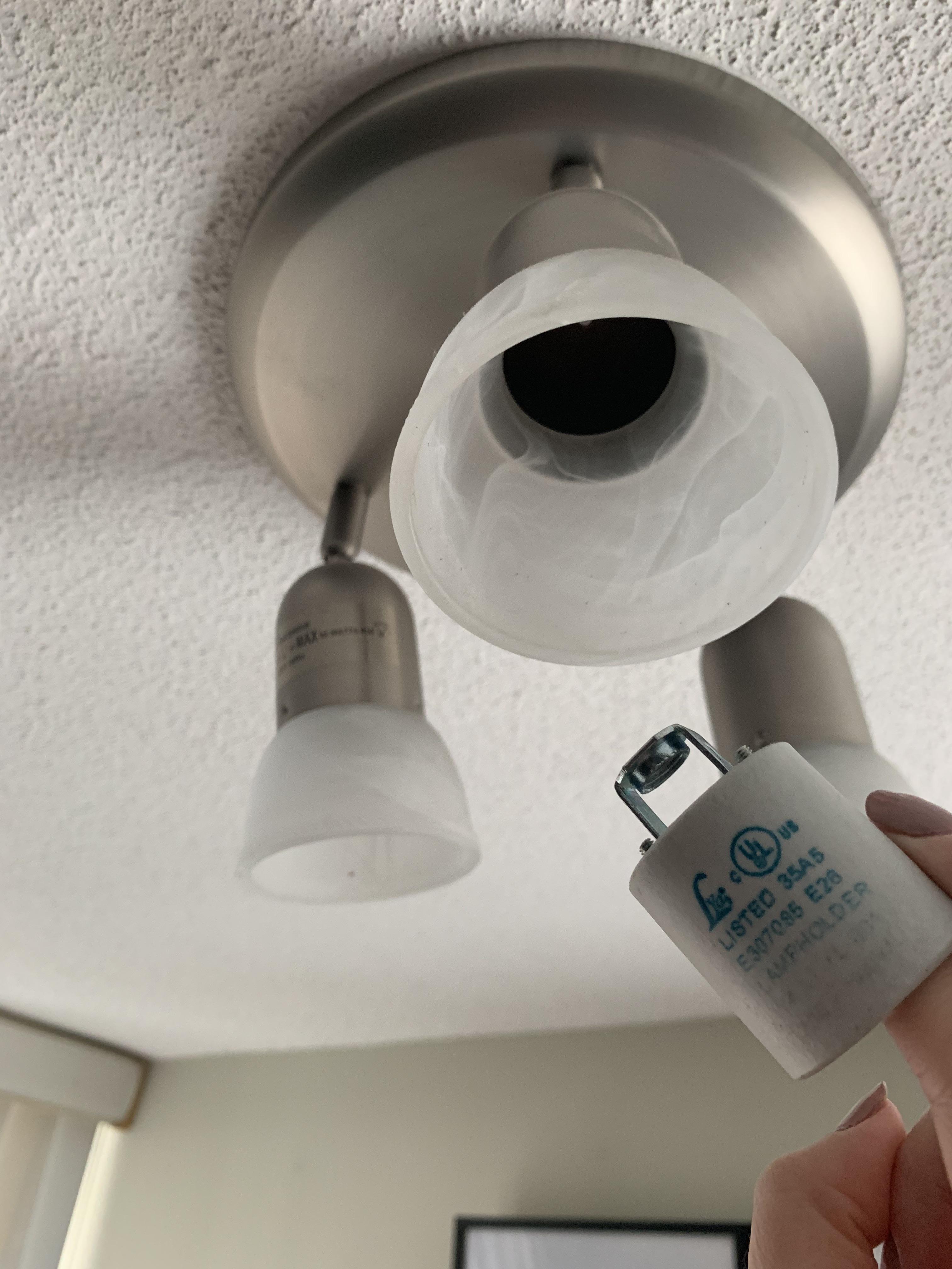 This thing fell out of my living room ceiling light while I was trying