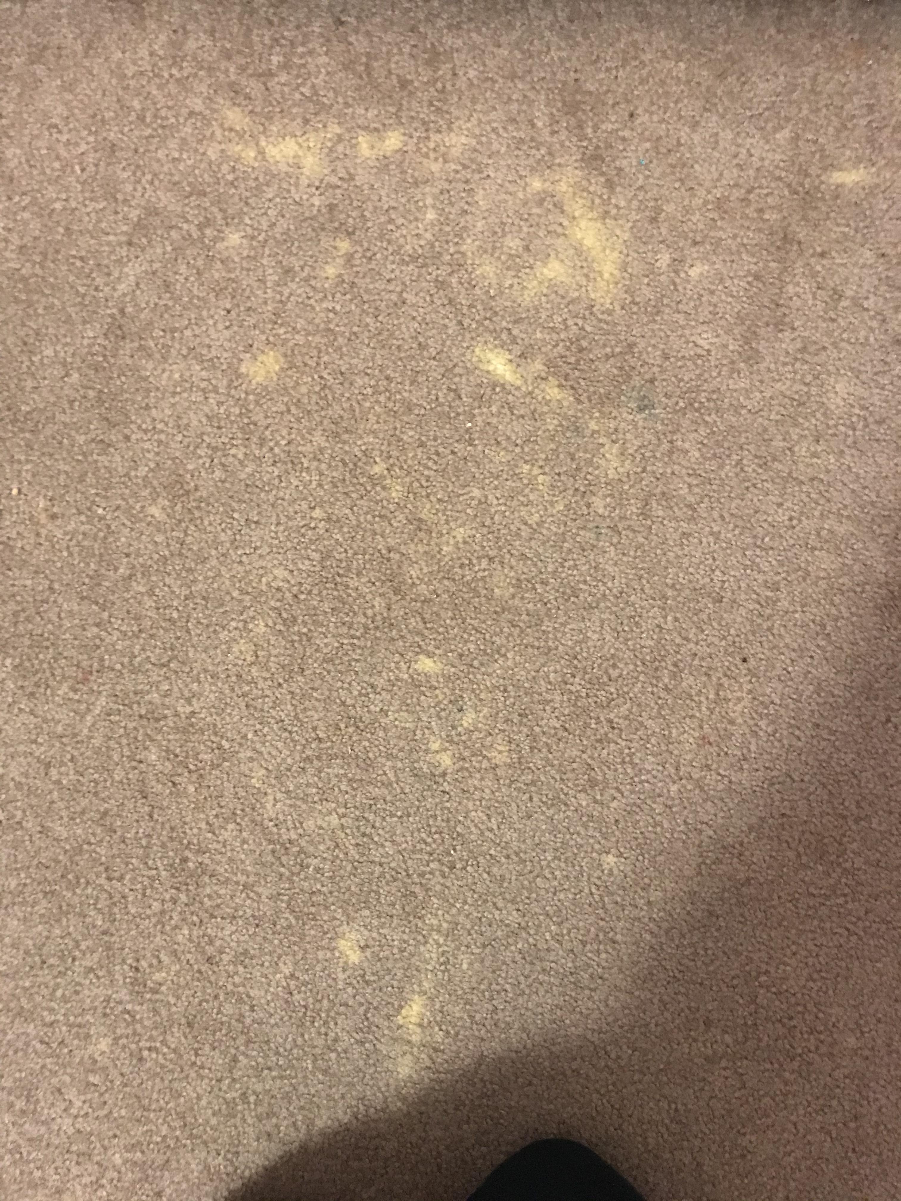 Is it possible to remove this discoloration from carpet ? Been here for