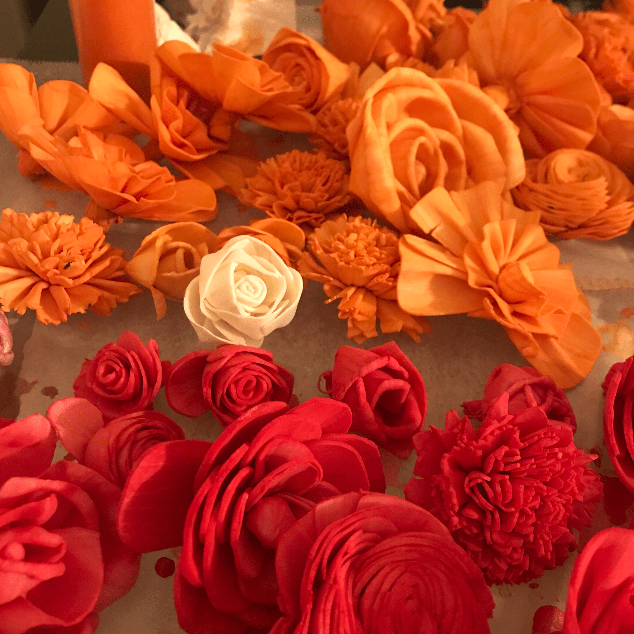 My mom and I started dyeing my sola wood flowers yesterday! r