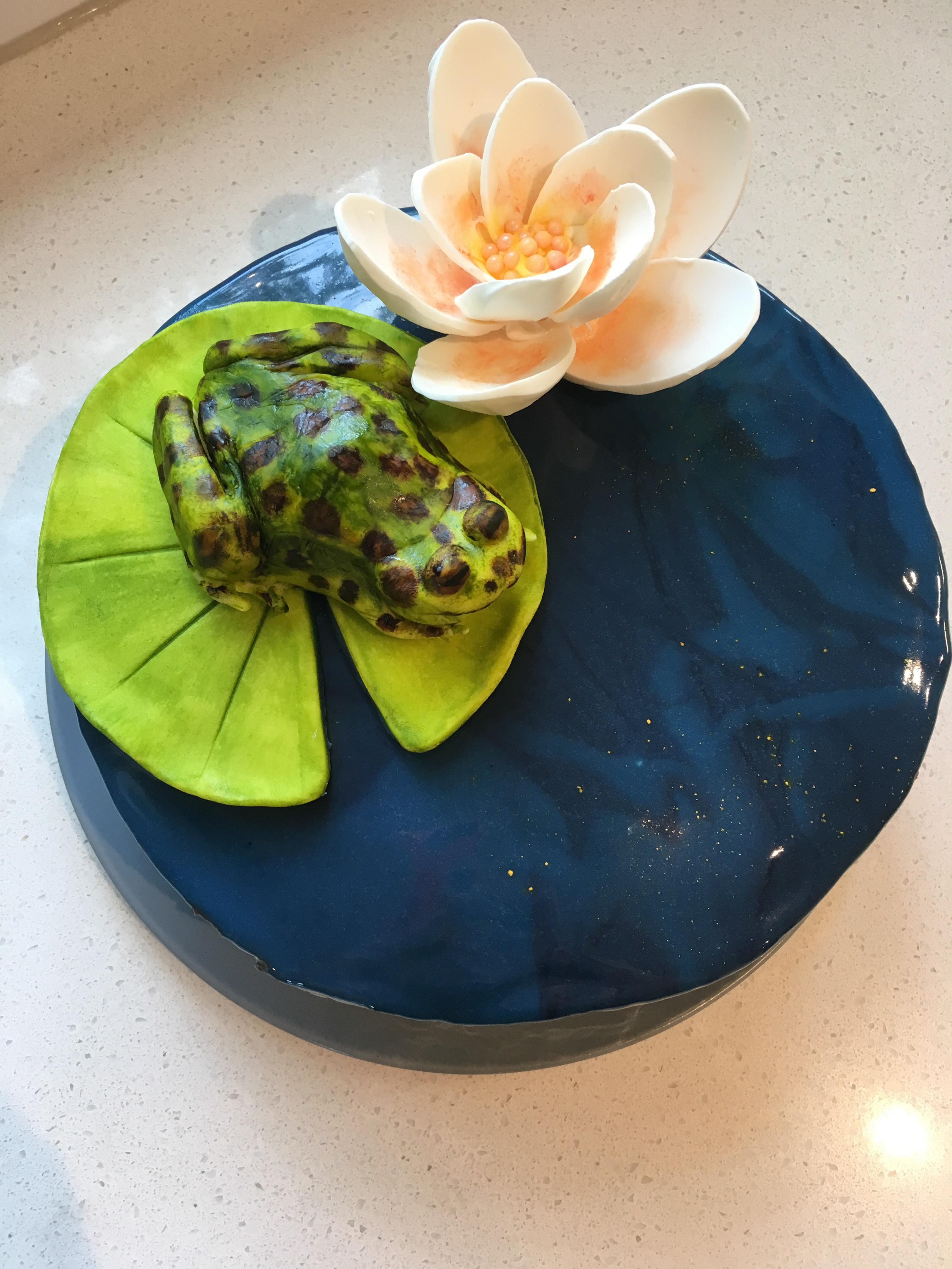I’m proud of the results of my first mirror cake! Also first chocolate