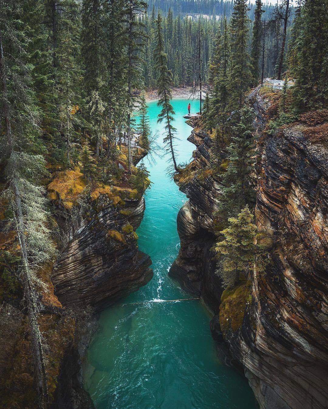 Alberta, Canada r/pics