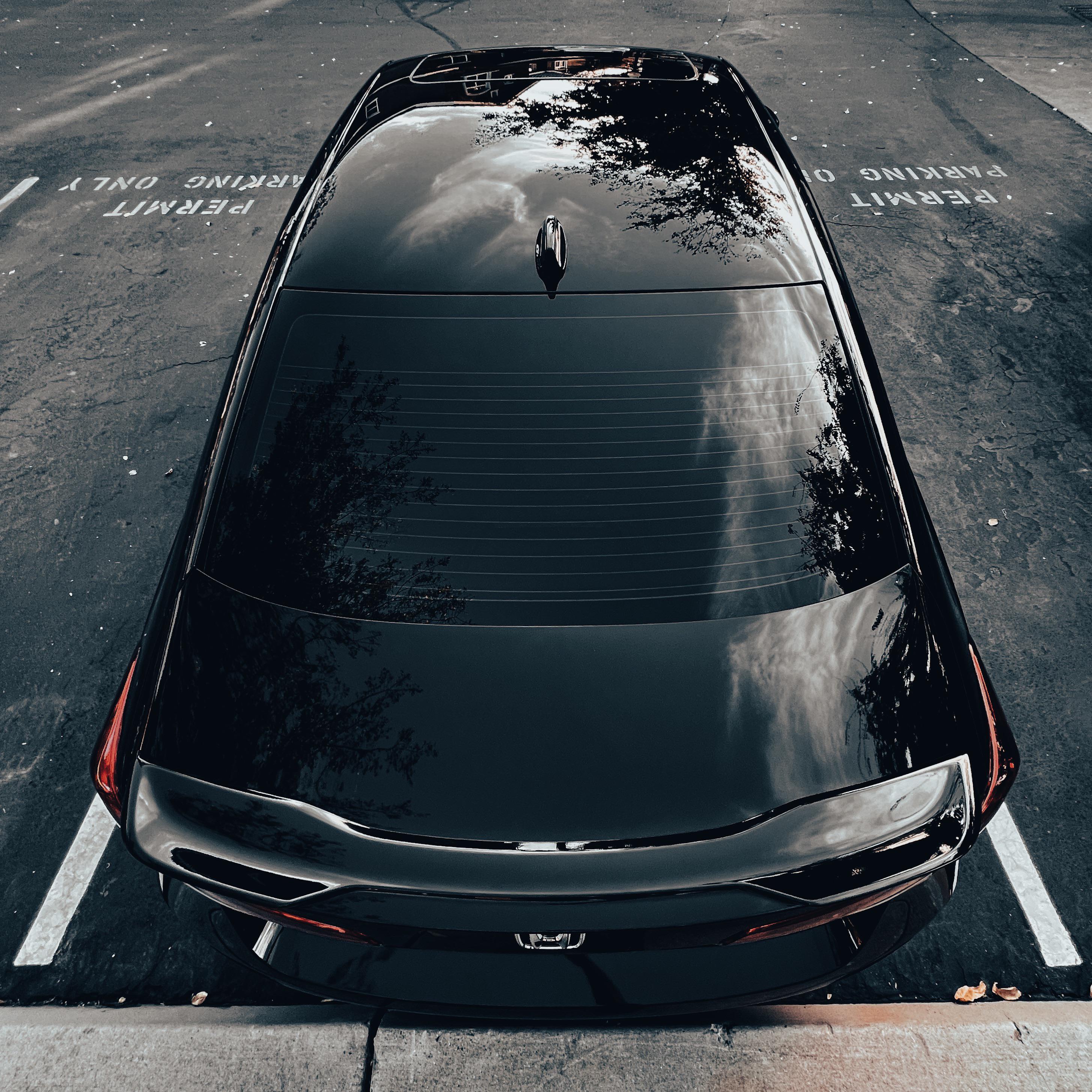 Ceramic coating is done. Time to enjoy my black car. r/civic